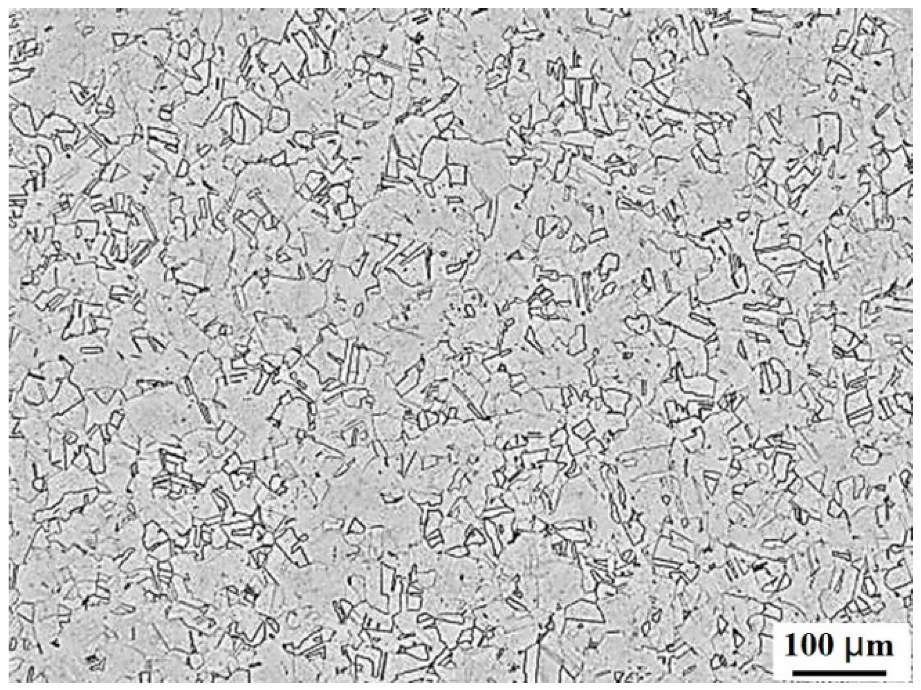 Coatings 12 00900 g001