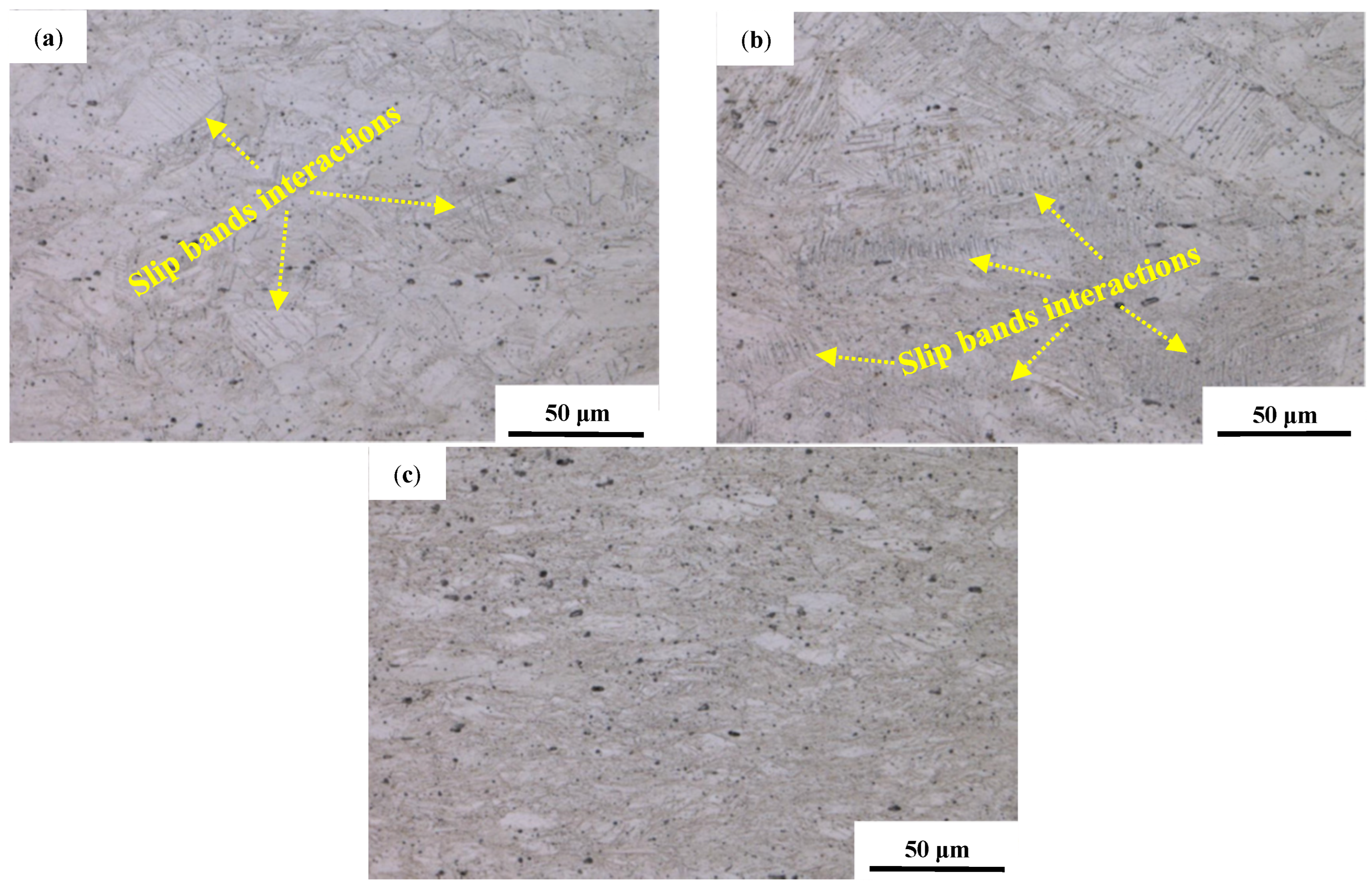 Coatings 12 00900 g003