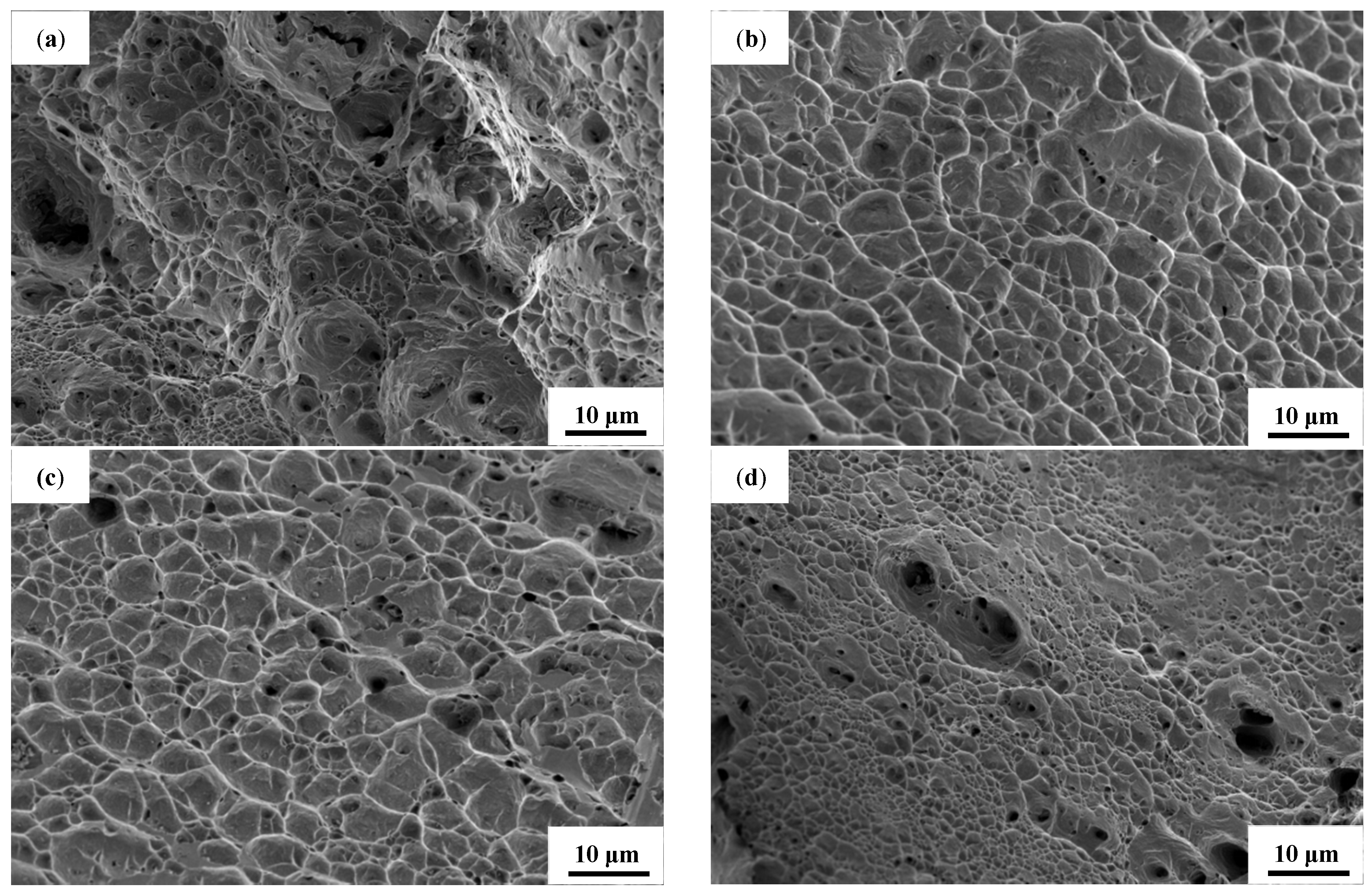 Coatings 12 00900 g007