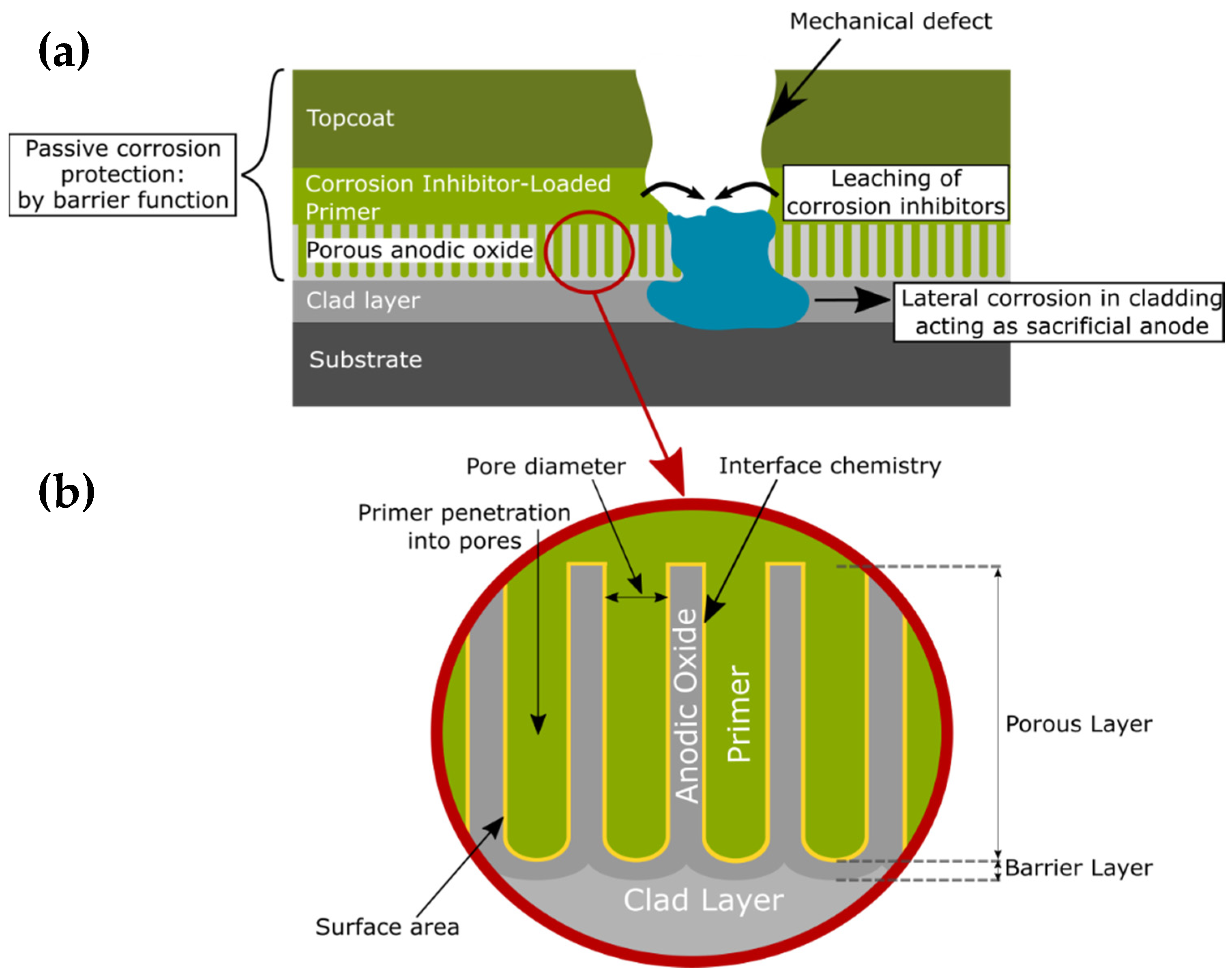 Coatings Free FullText The Role of Anodising Parameters in the Performance of Bare and