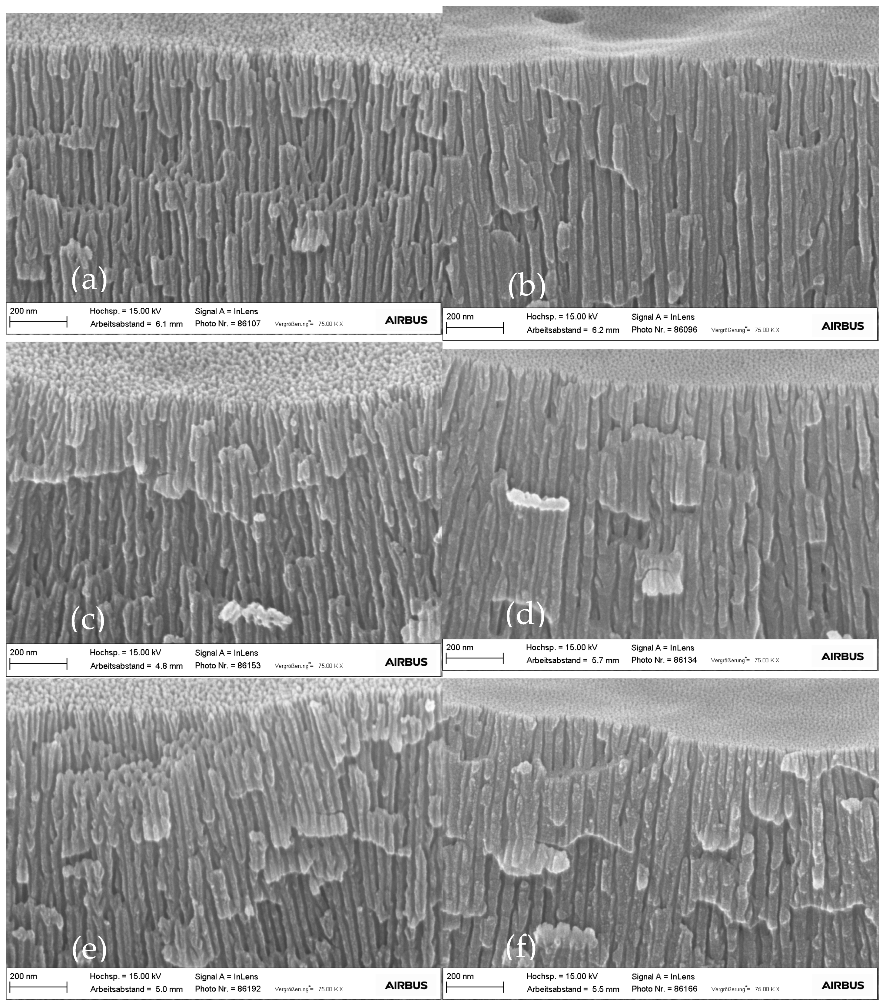 Coatings 12 00908 g005 550