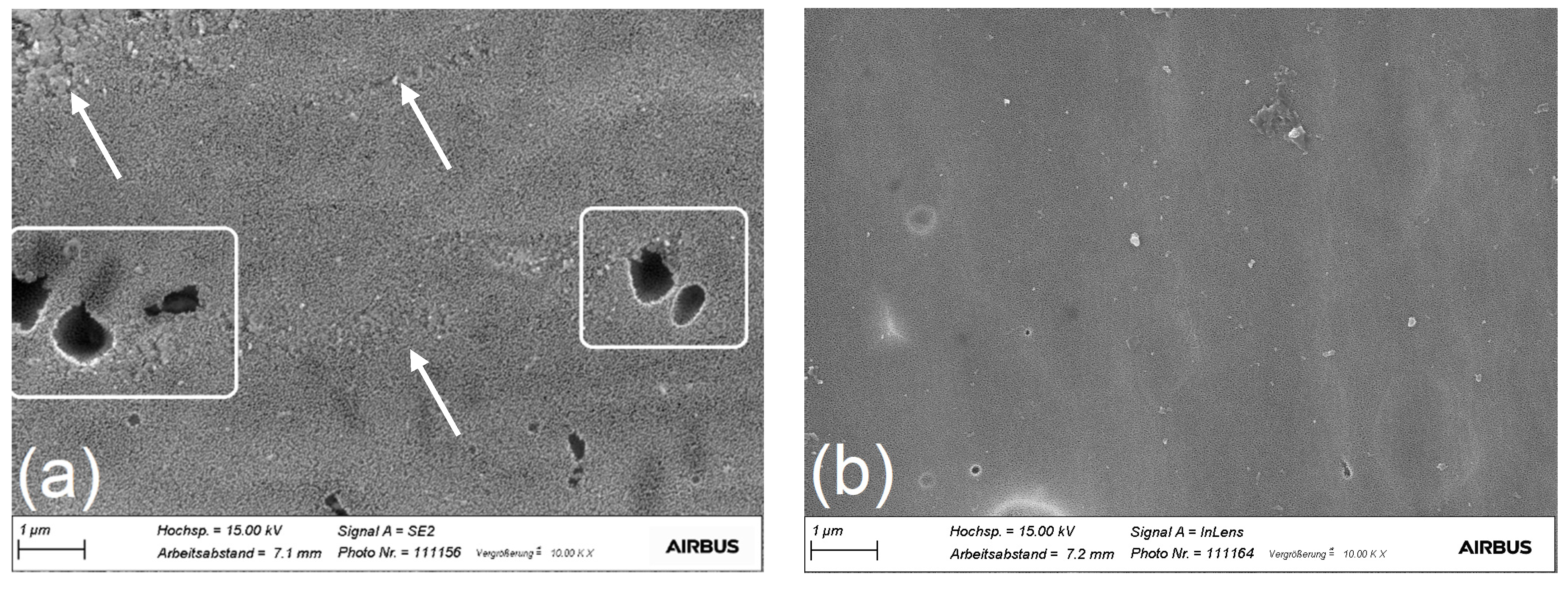 Coatings 12 00908 g012 550