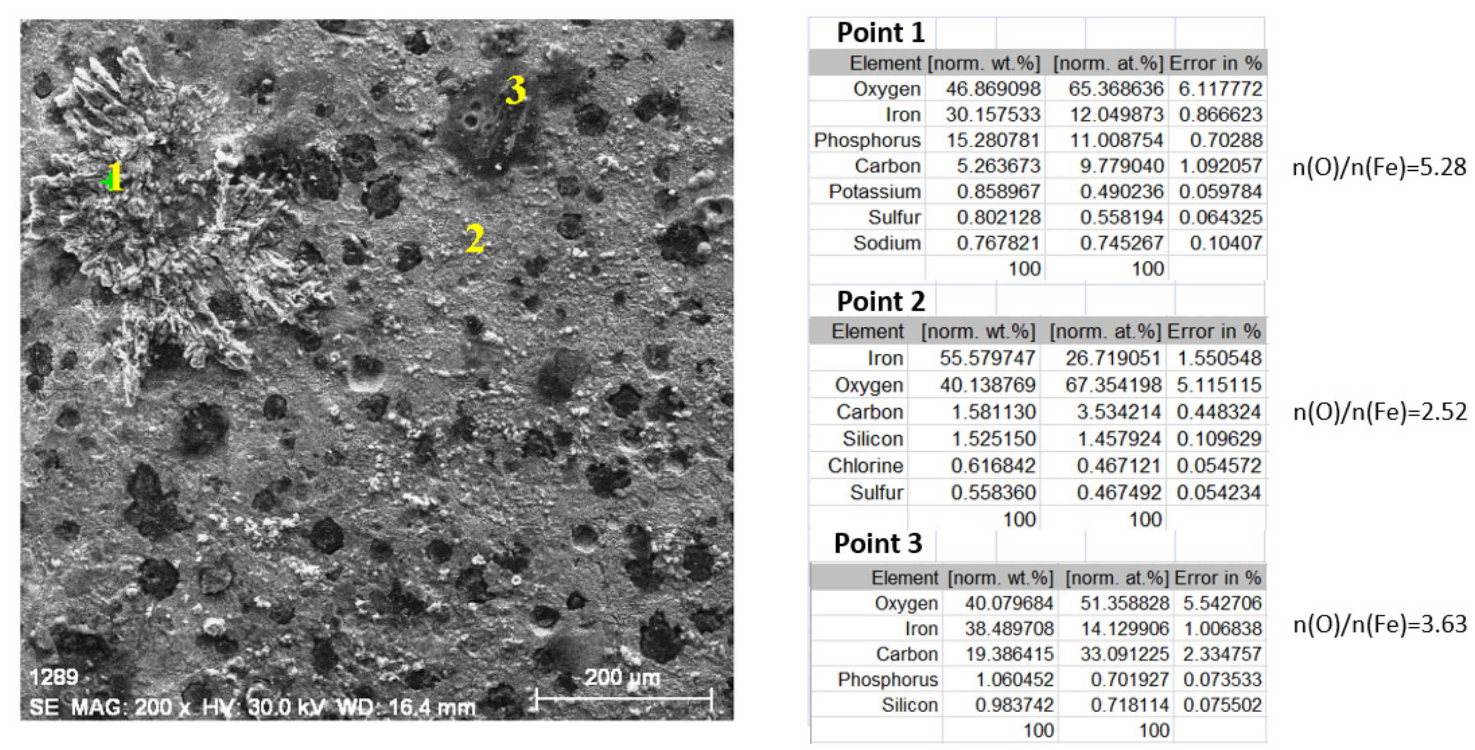 Coatings 12 00911 g013