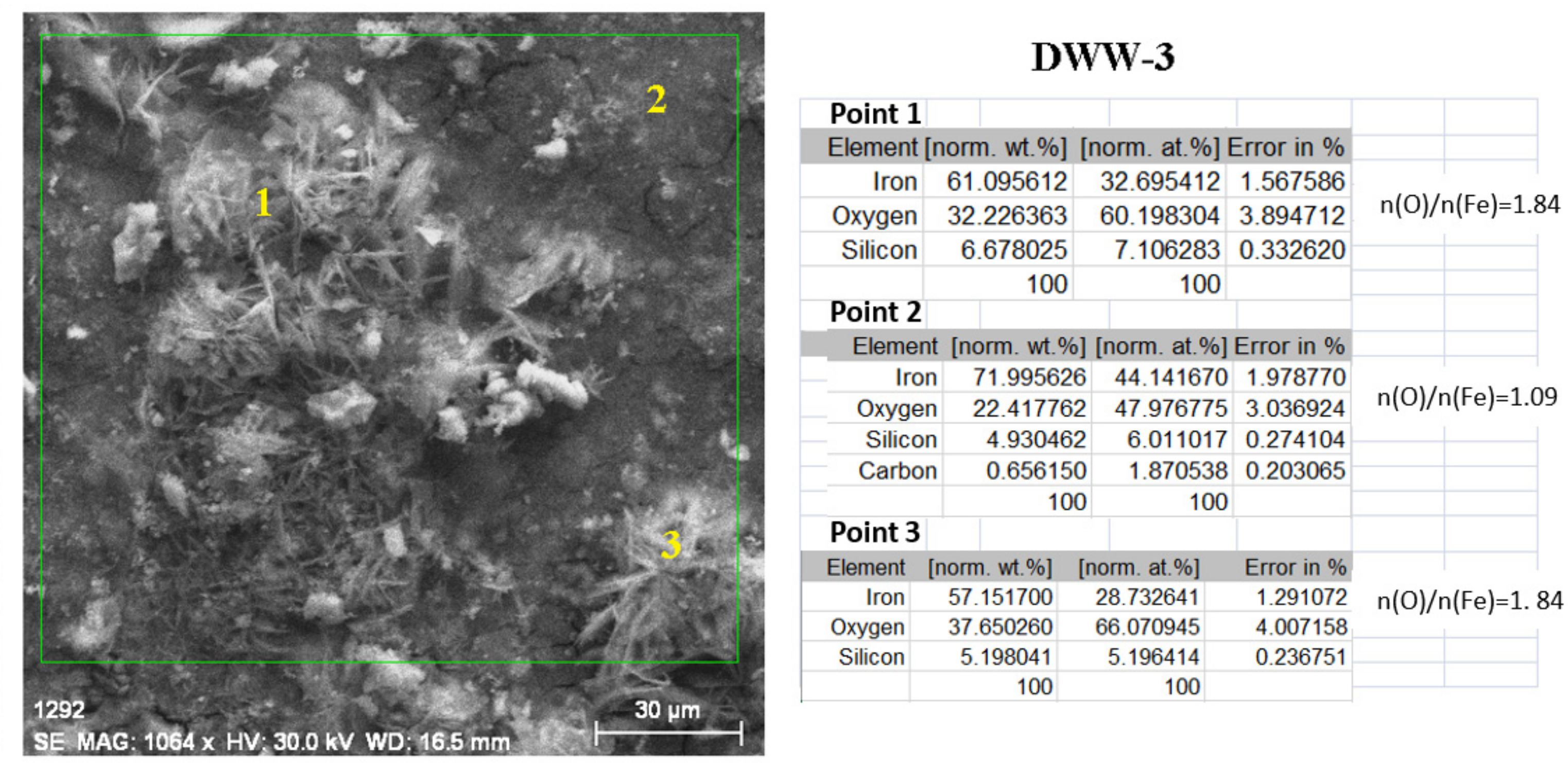 Coatings 12 00911 g014