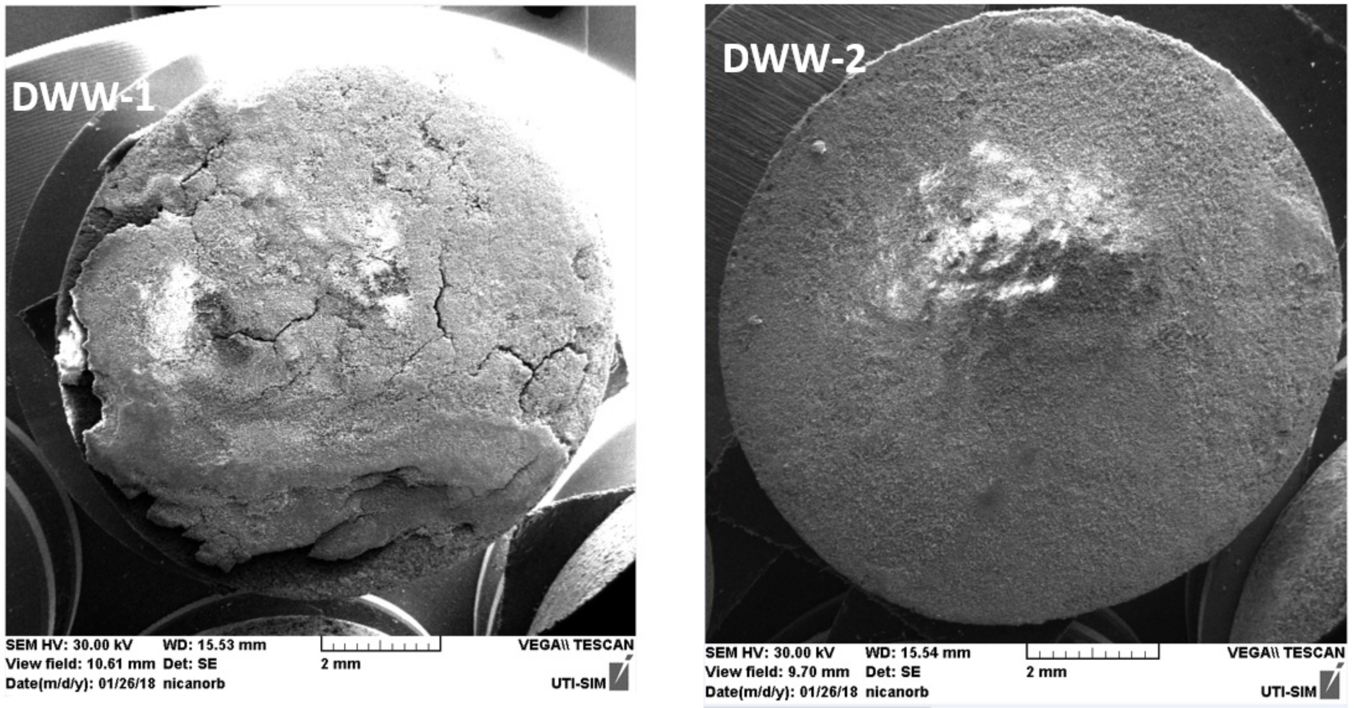 Coatings 12 00911 g023