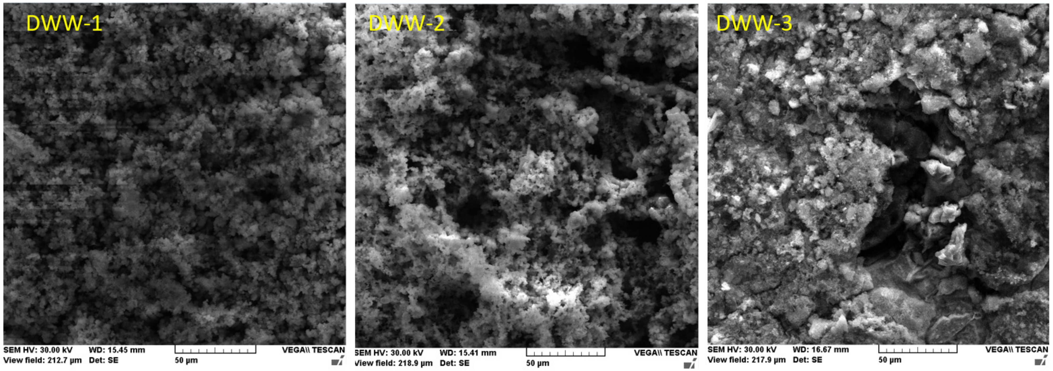 Coatings 12 00911 g024