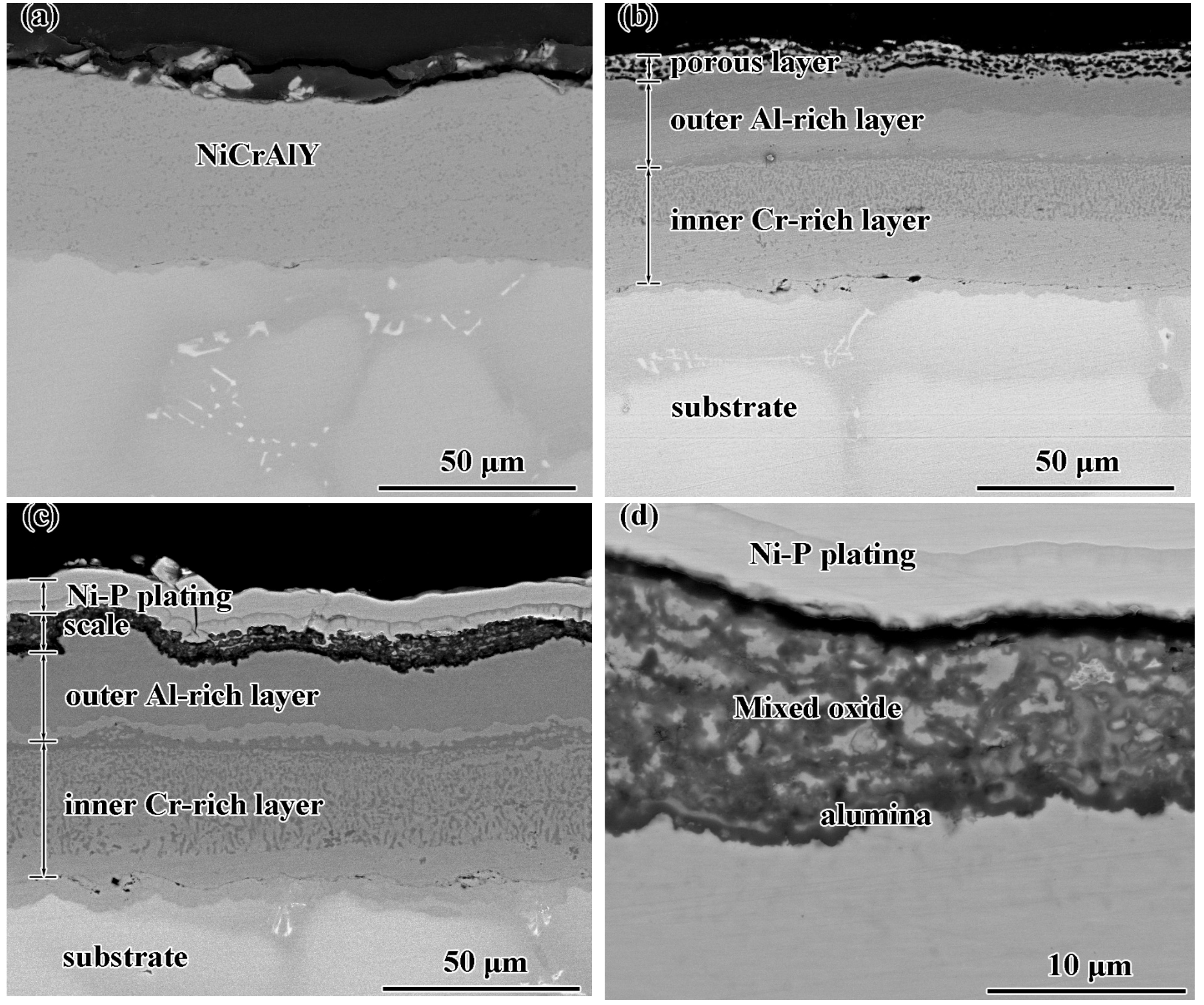 Coatings 12 00912 g002