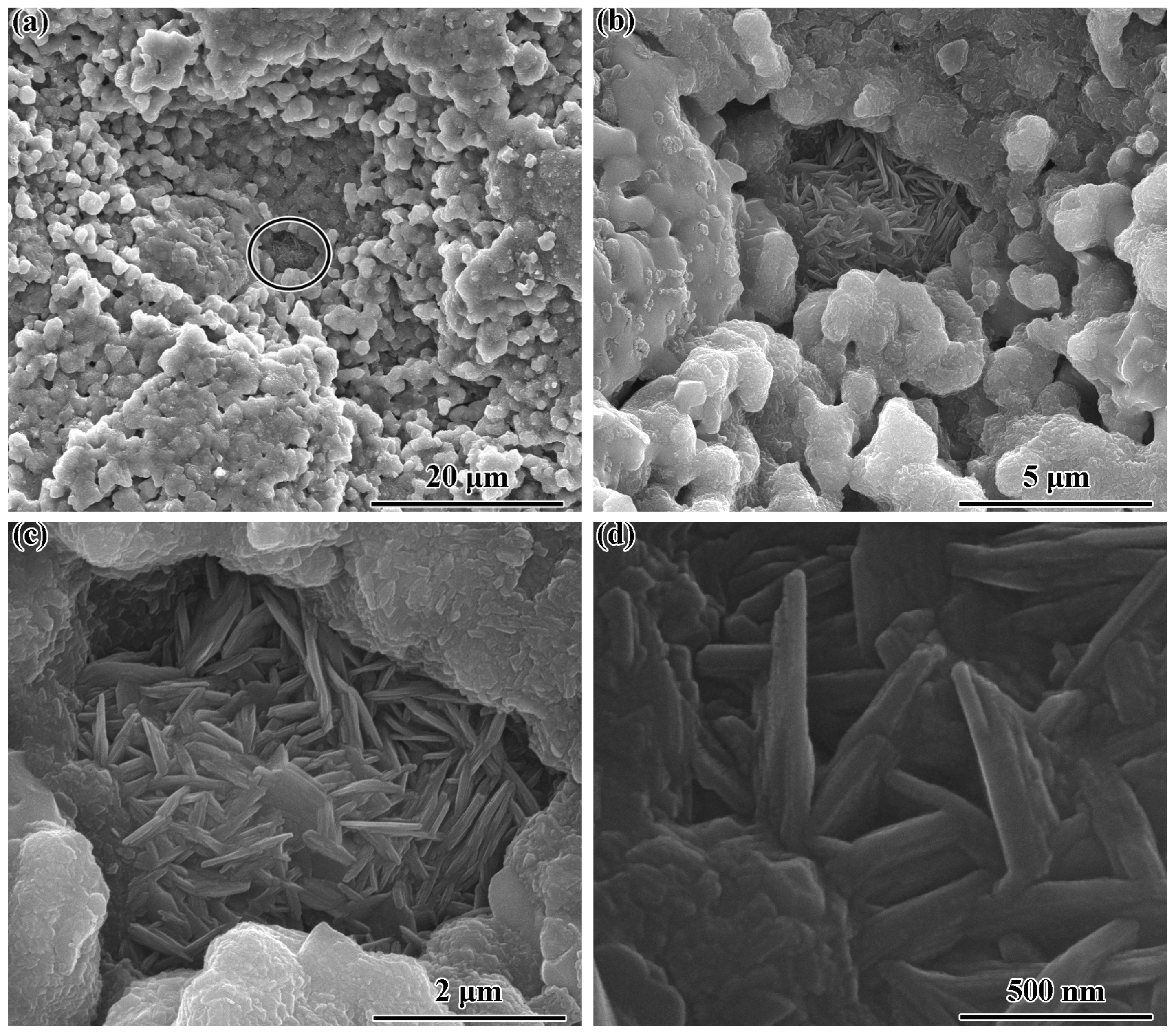 Coatings 12 00912 g004