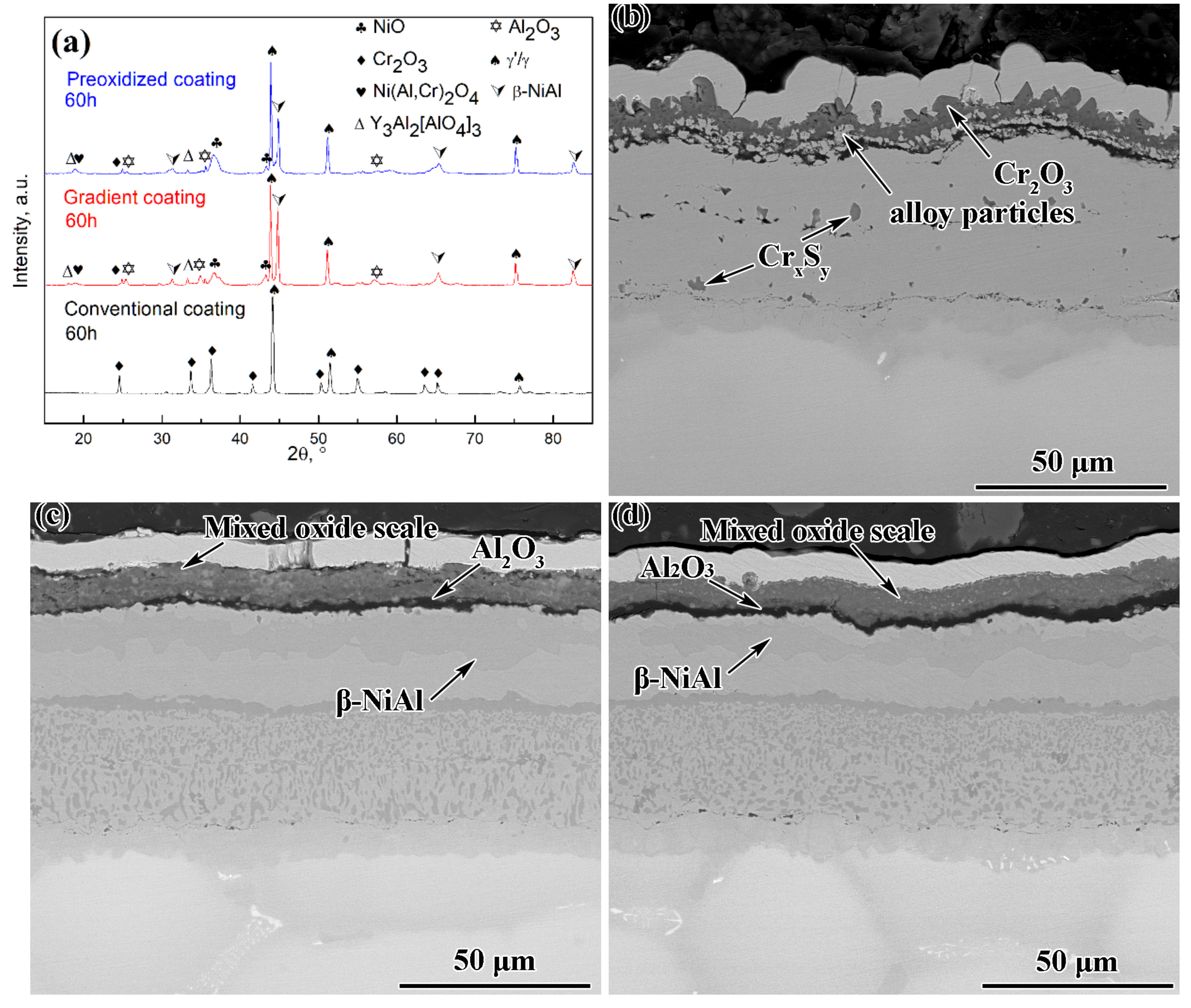 Coatings 12 00912 g006