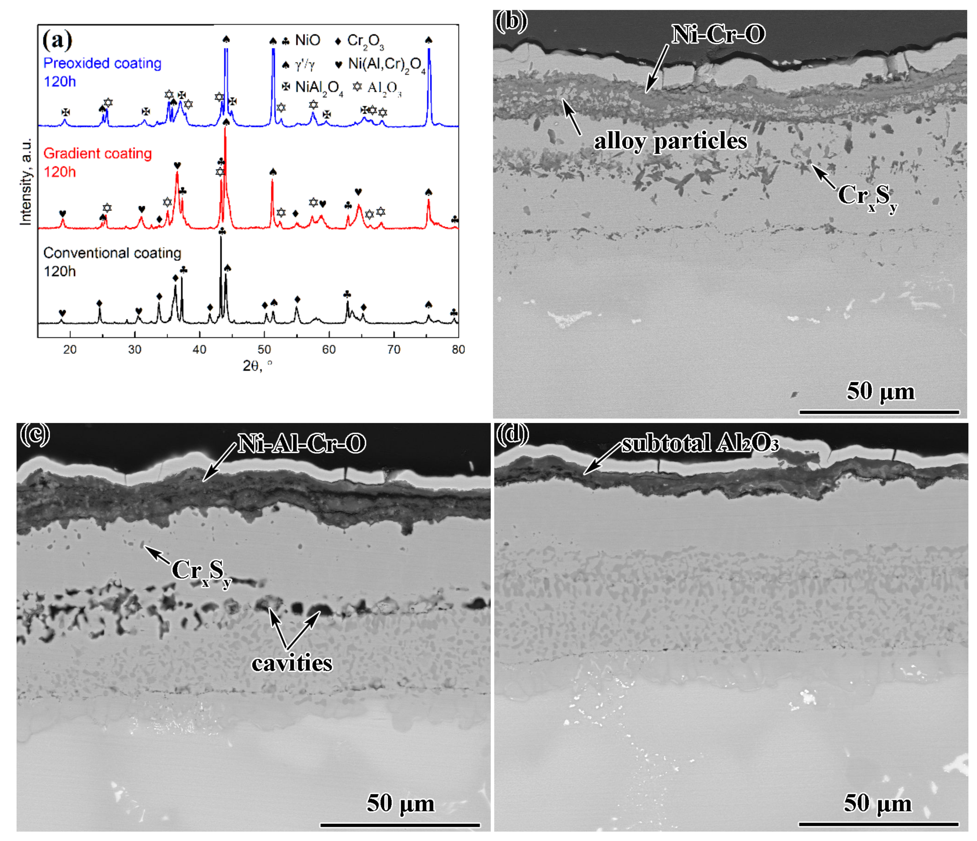 Coatings 12 00912 g007