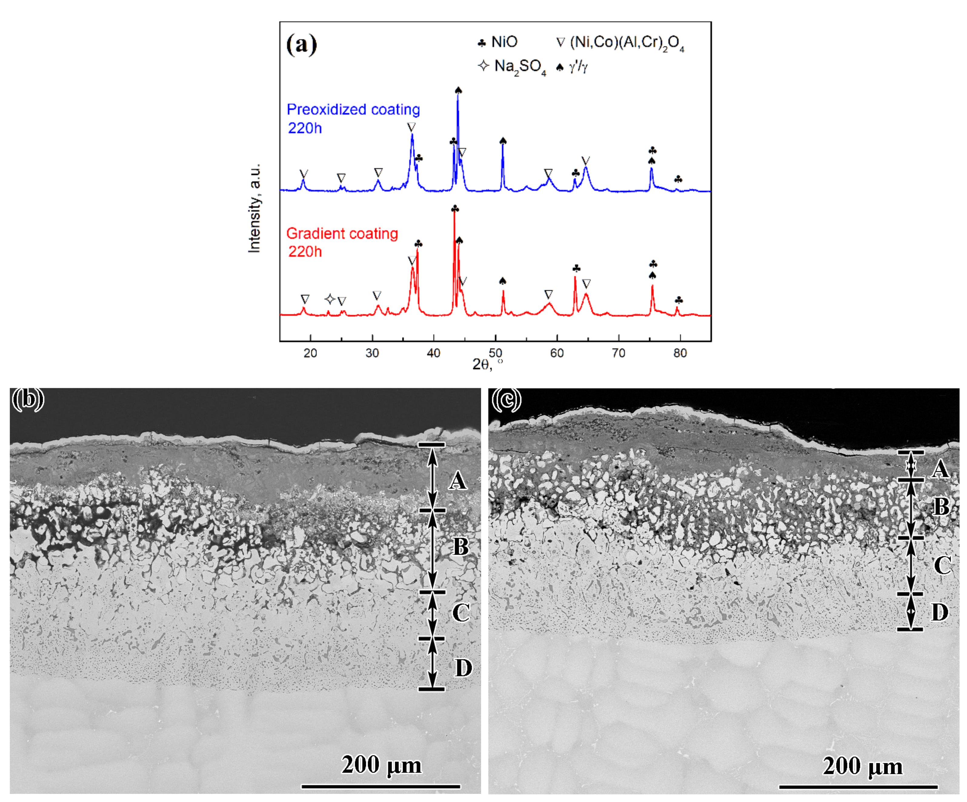 Coatings 12 00912 g008