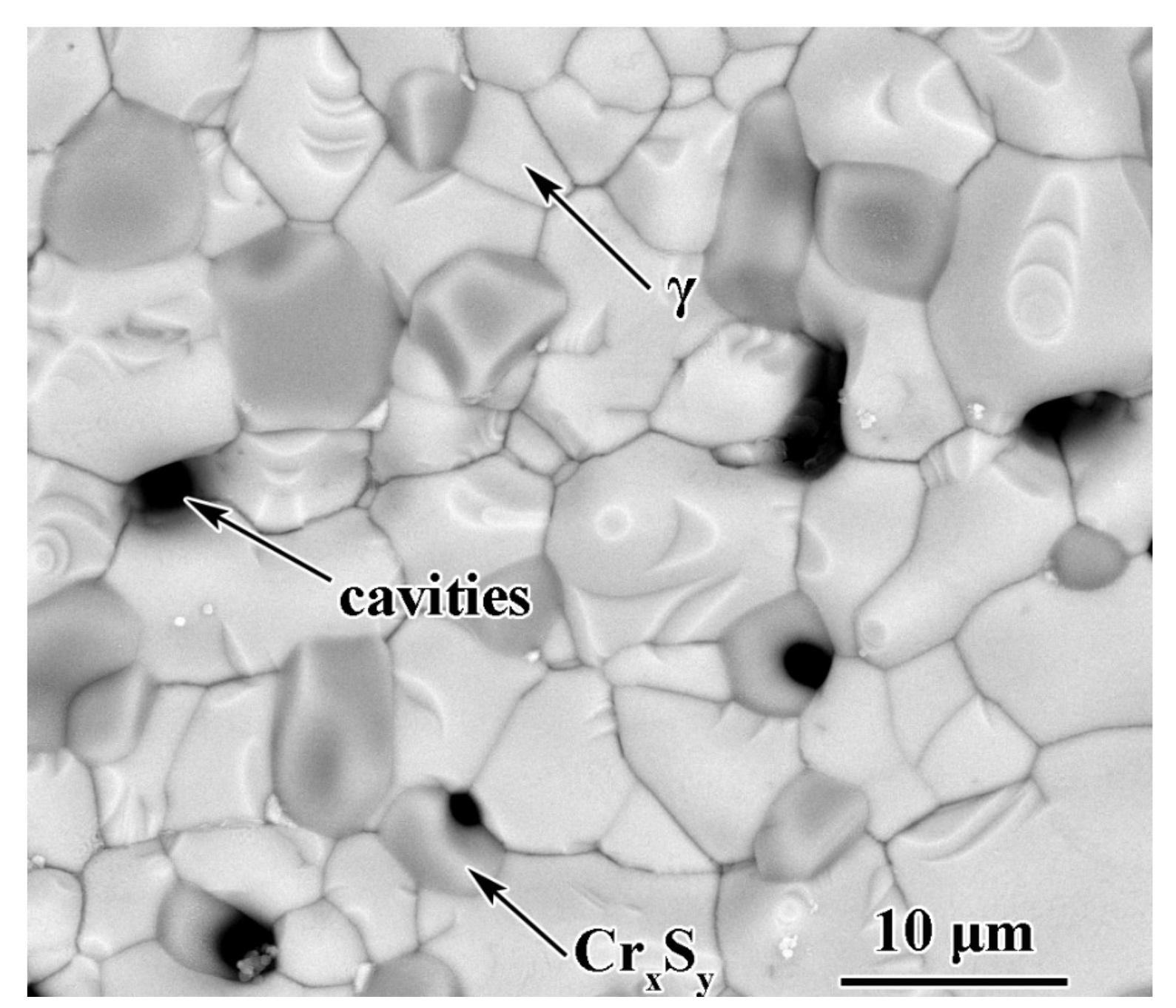 Coatings 12 00912 g011