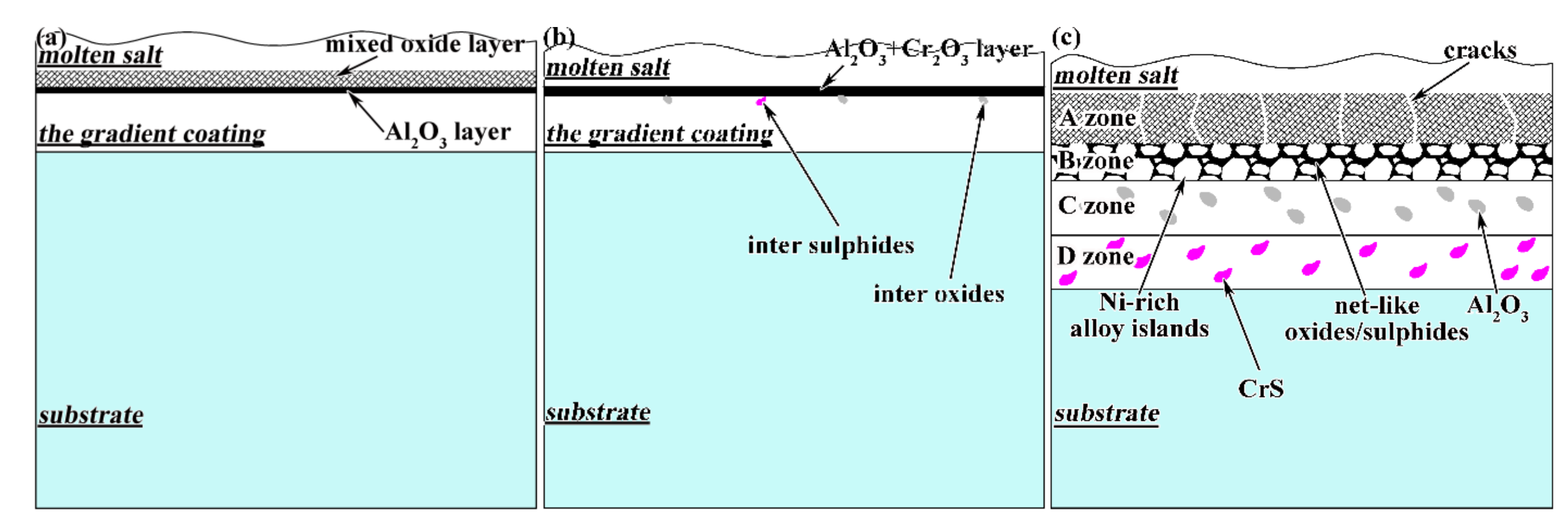 Coatings 12 00912 g012