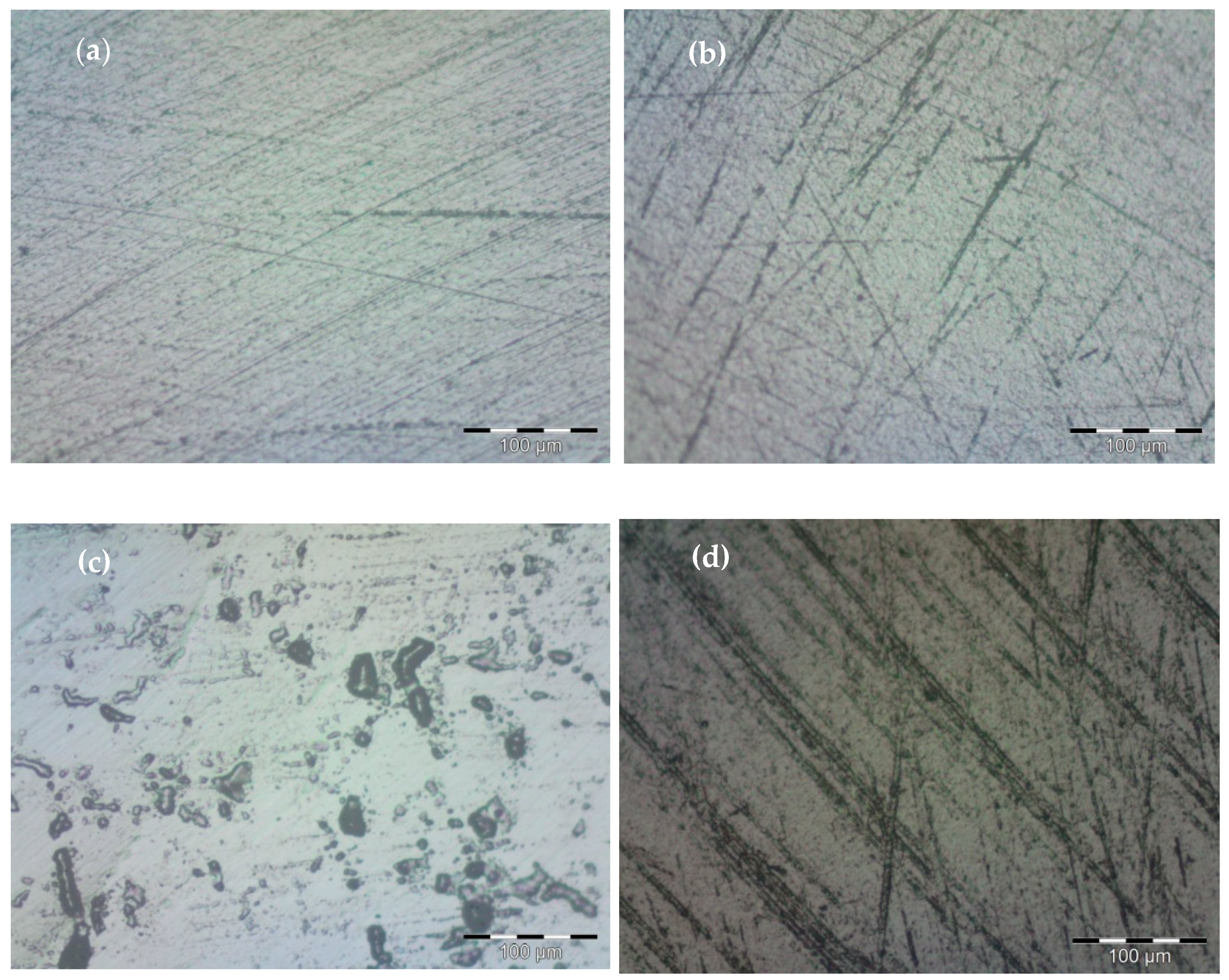 Coatings 12 00916 g004a