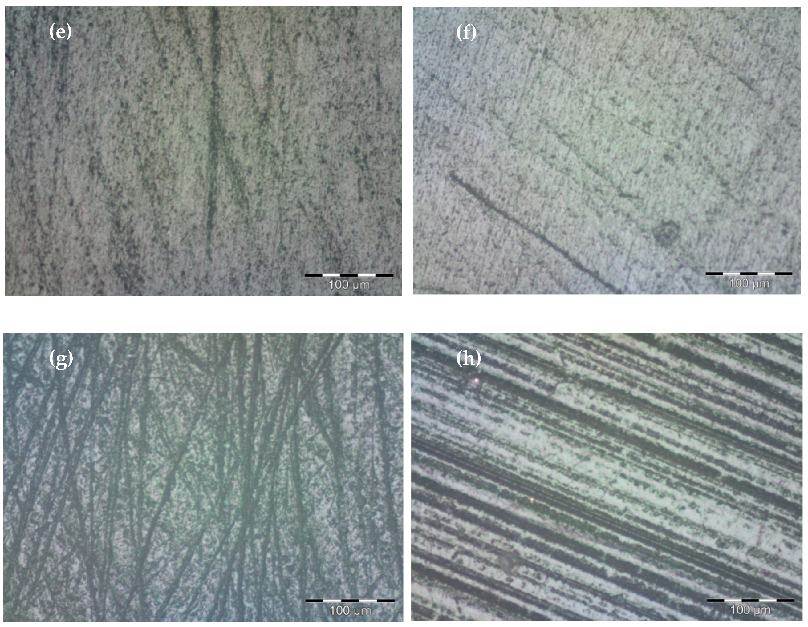Coatings 12 00916 g004b