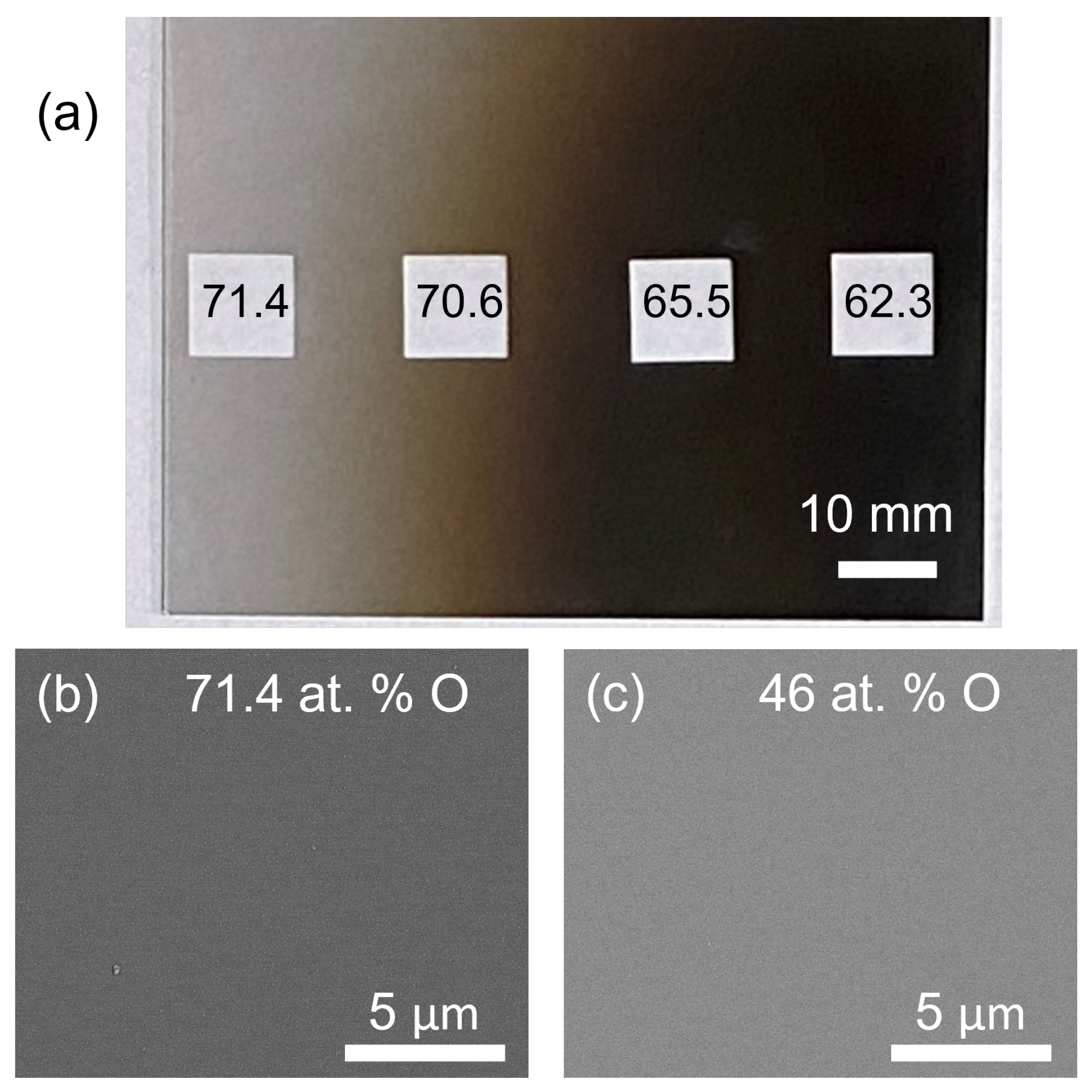 Coatings 12 00917 g002