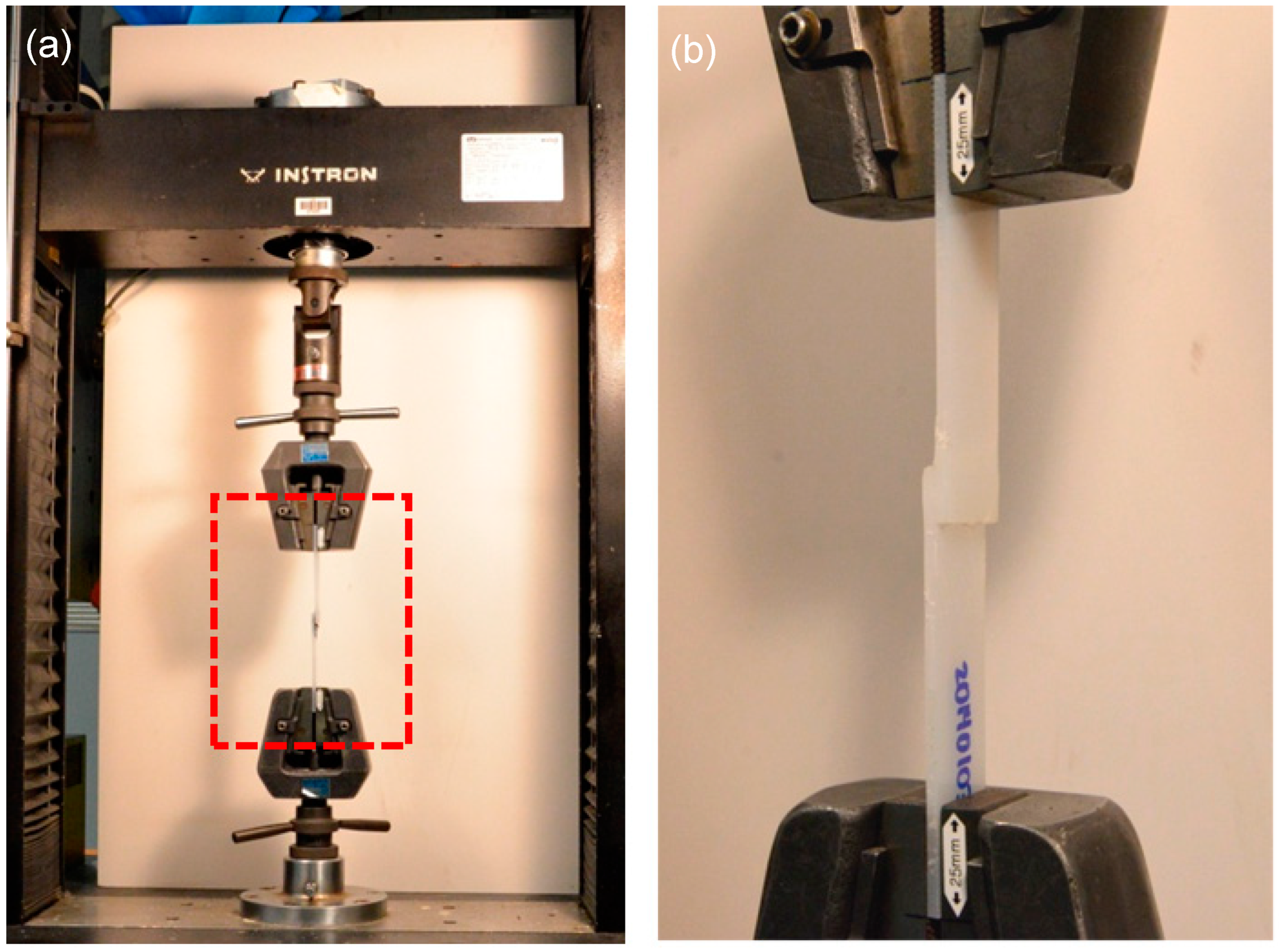 Coatings 12 00919 g005 550