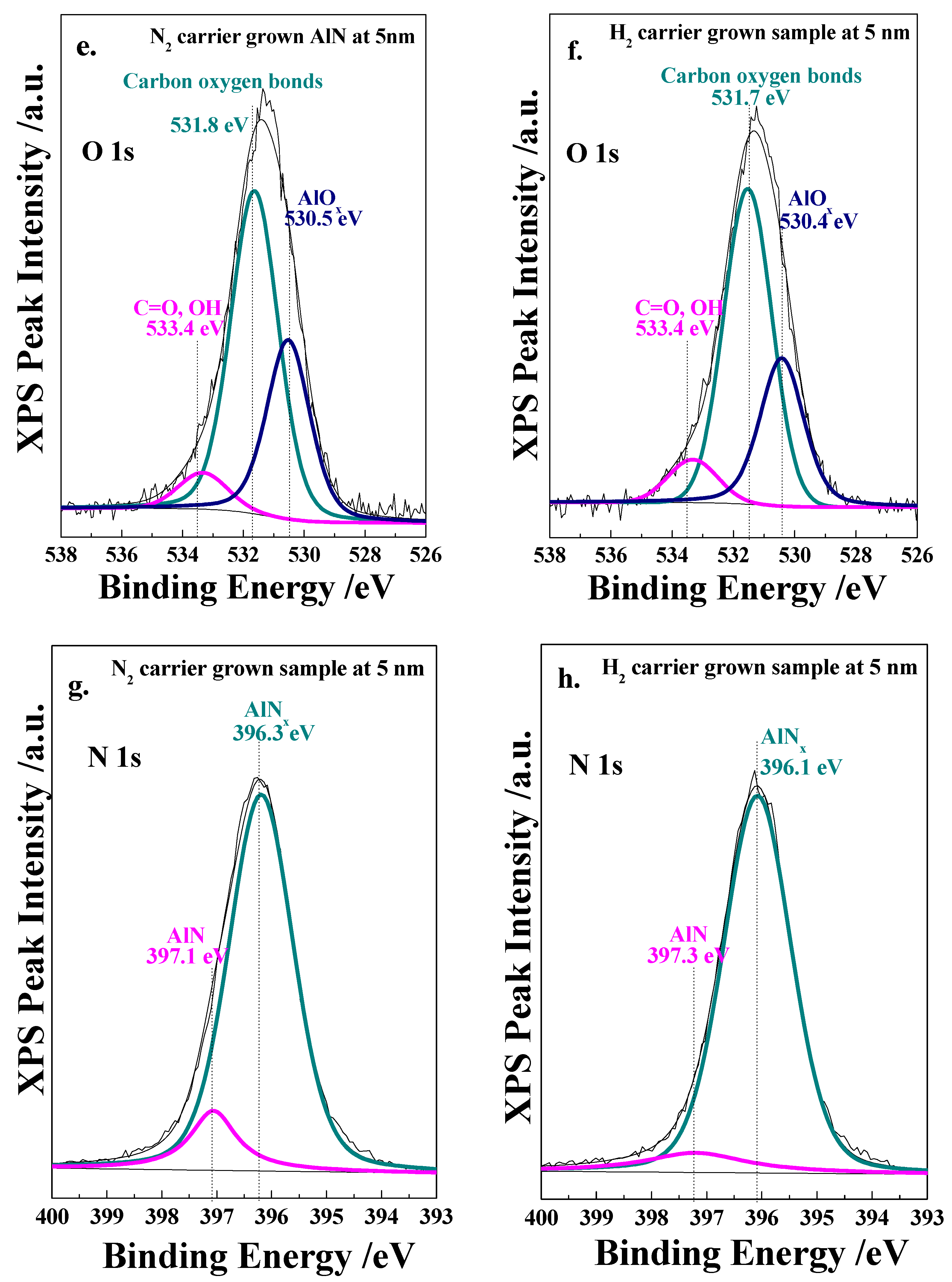 Coatings 12 00924 g005b