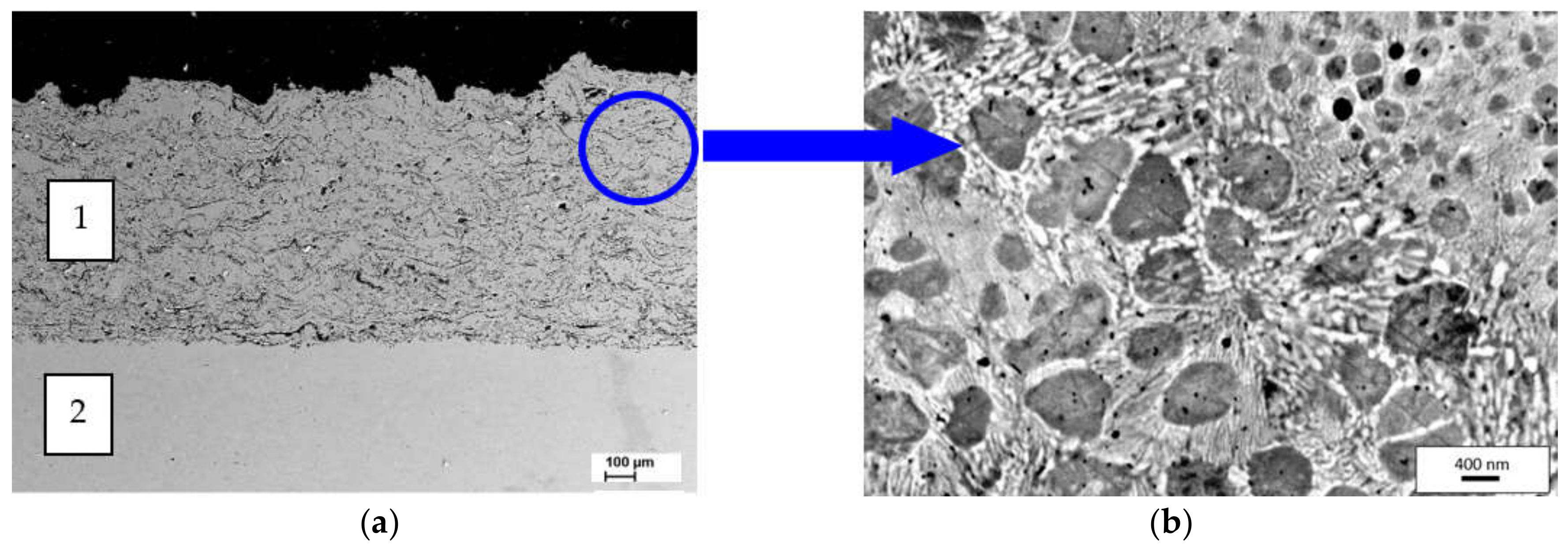 Coatings 12 00925 g012a