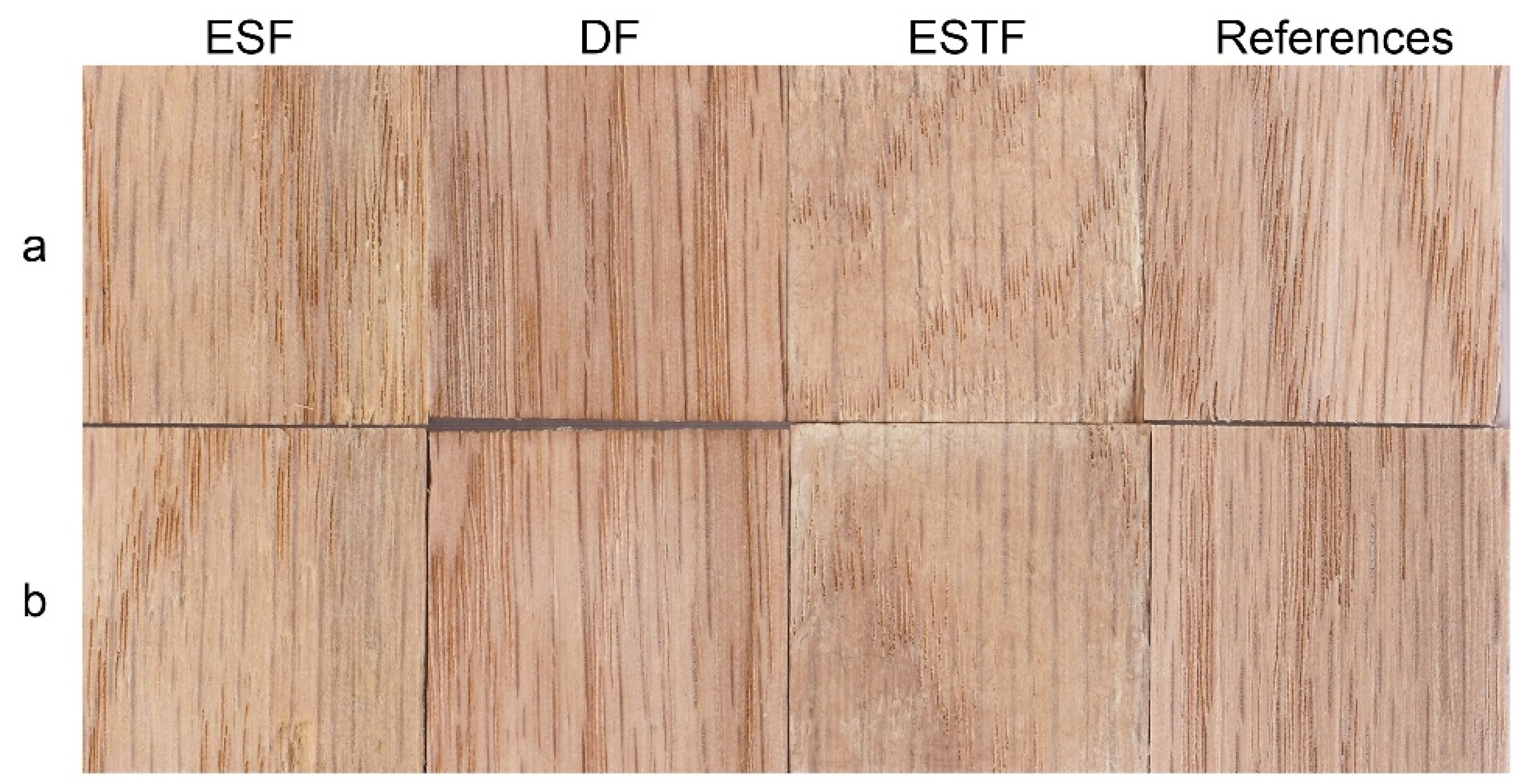 Coatings 12 00927 g008