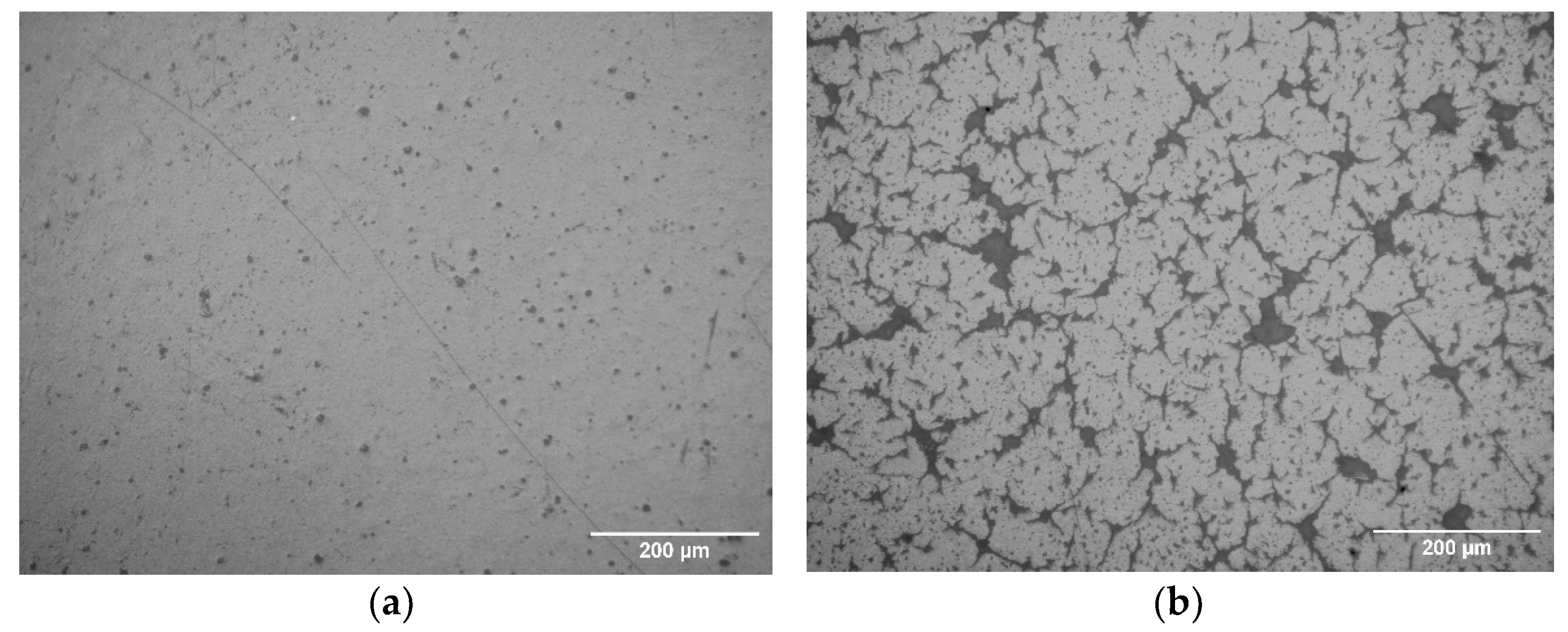 Coatings 12 00928 g009a 550