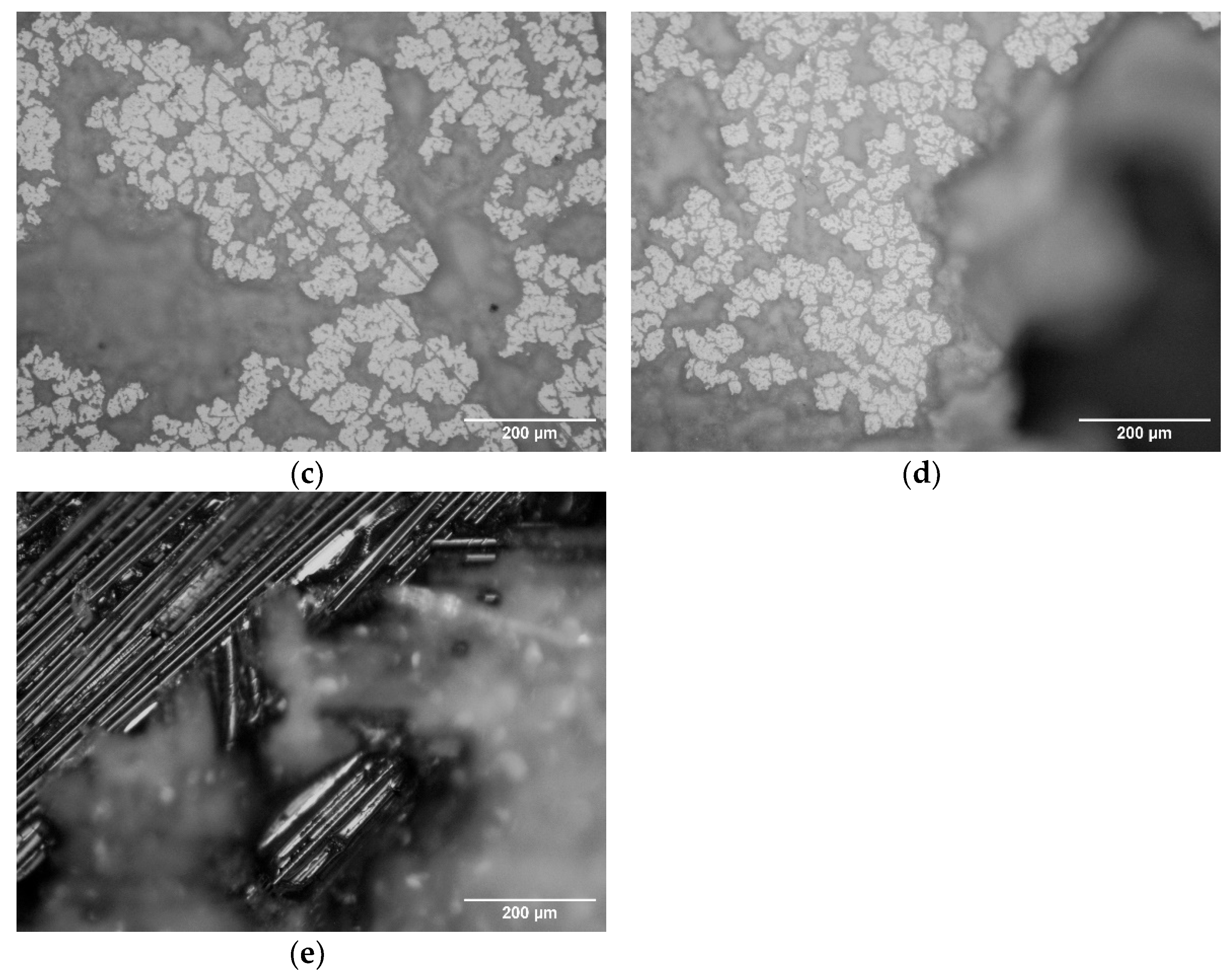 Coatings 12 00928 g009b 550