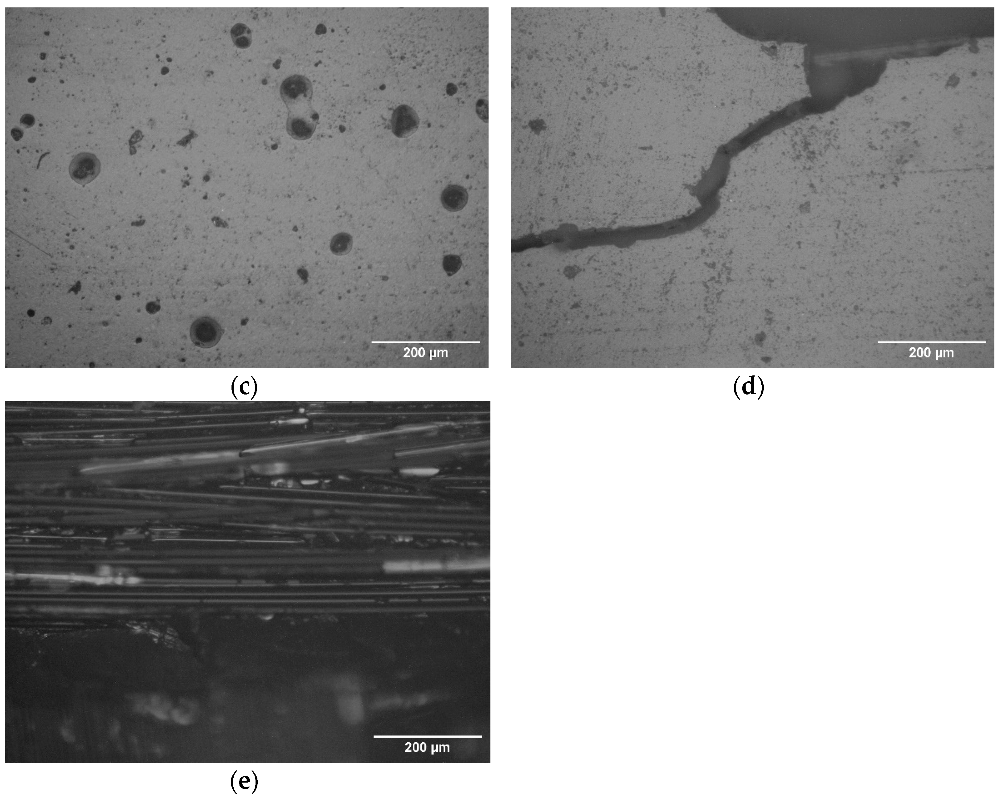 Coatings 12 00928 g010b 550