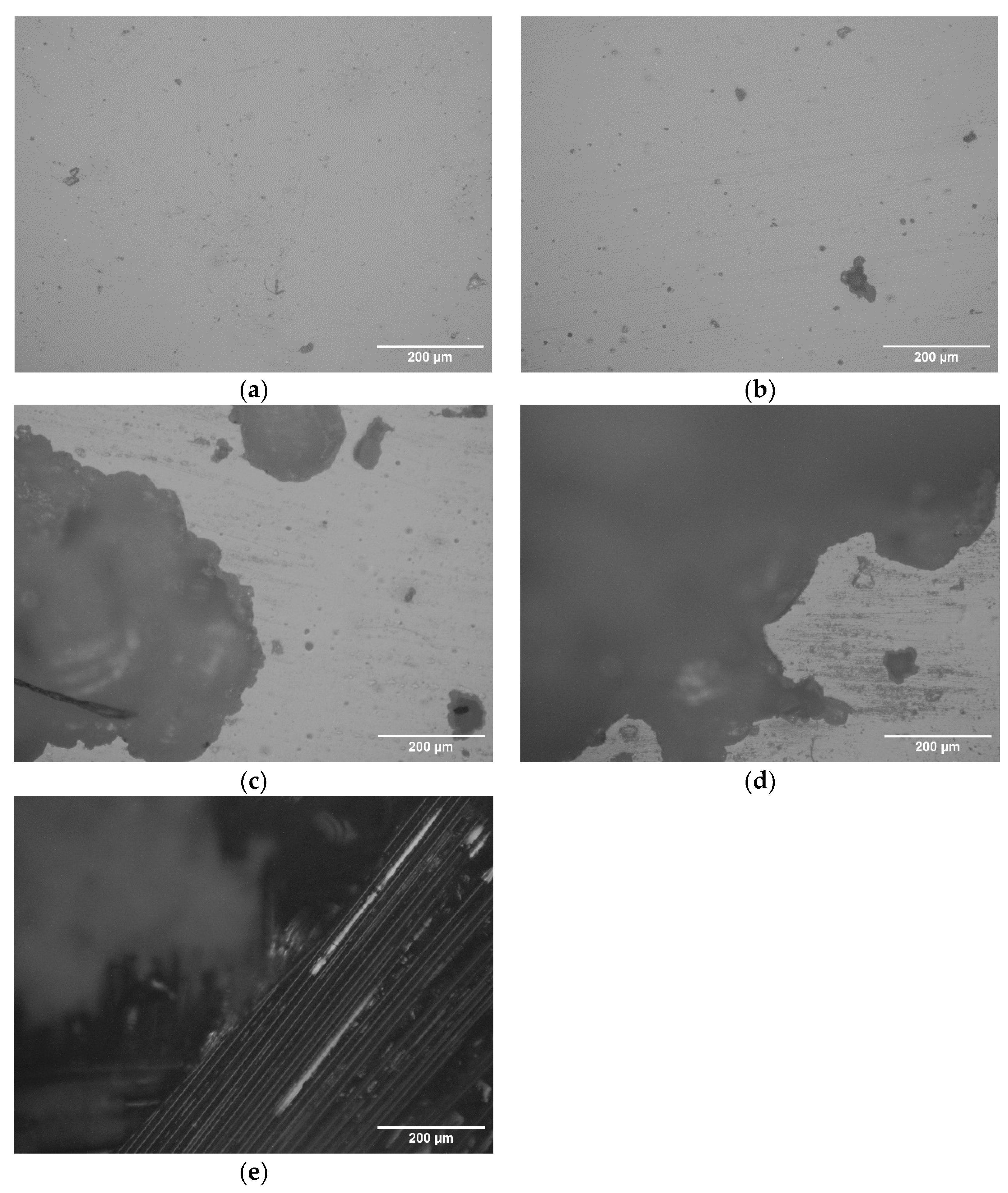 Coatings 12 00928 g011 550