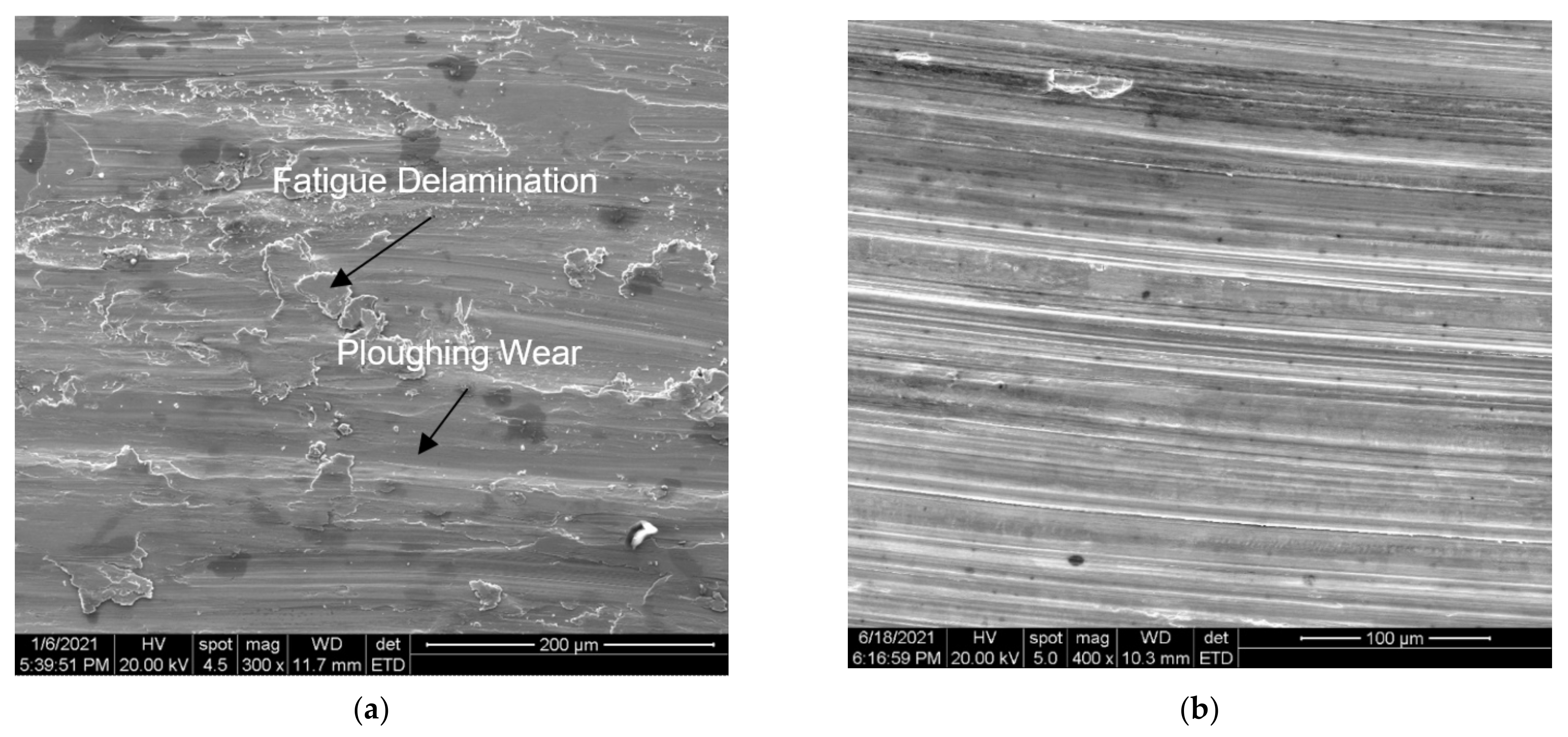 Coatings 12 00930 g007 550