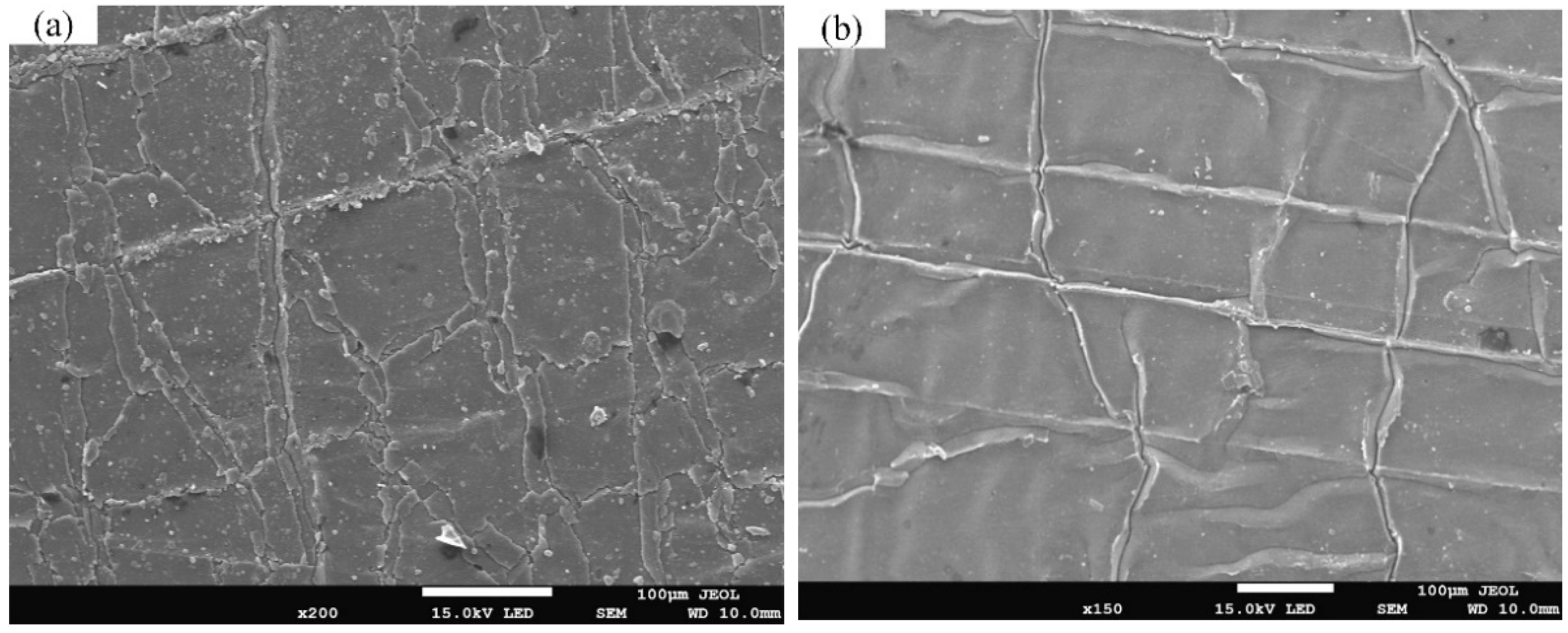 Coatings 12 00937 g002a