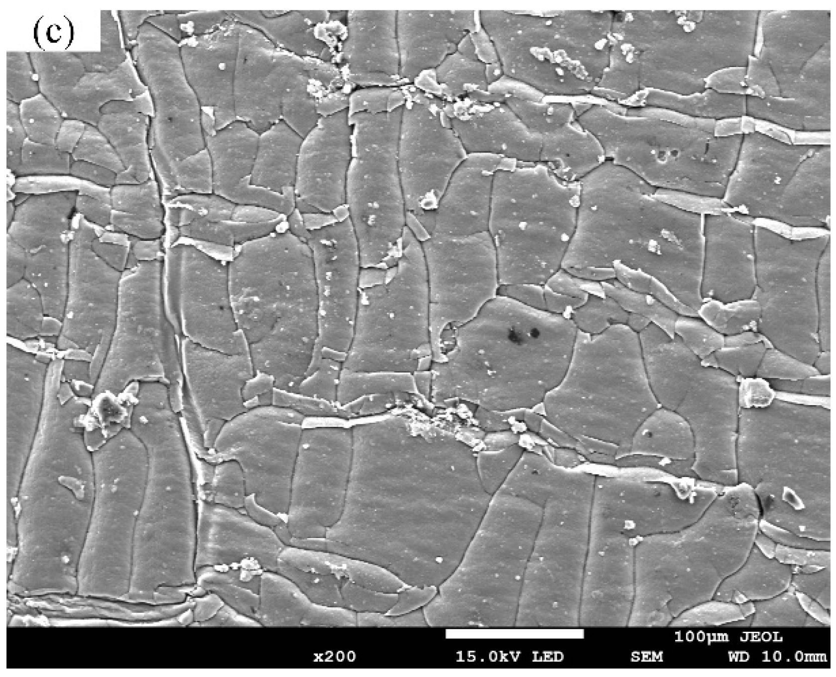 Coatings 12 00937 g002b