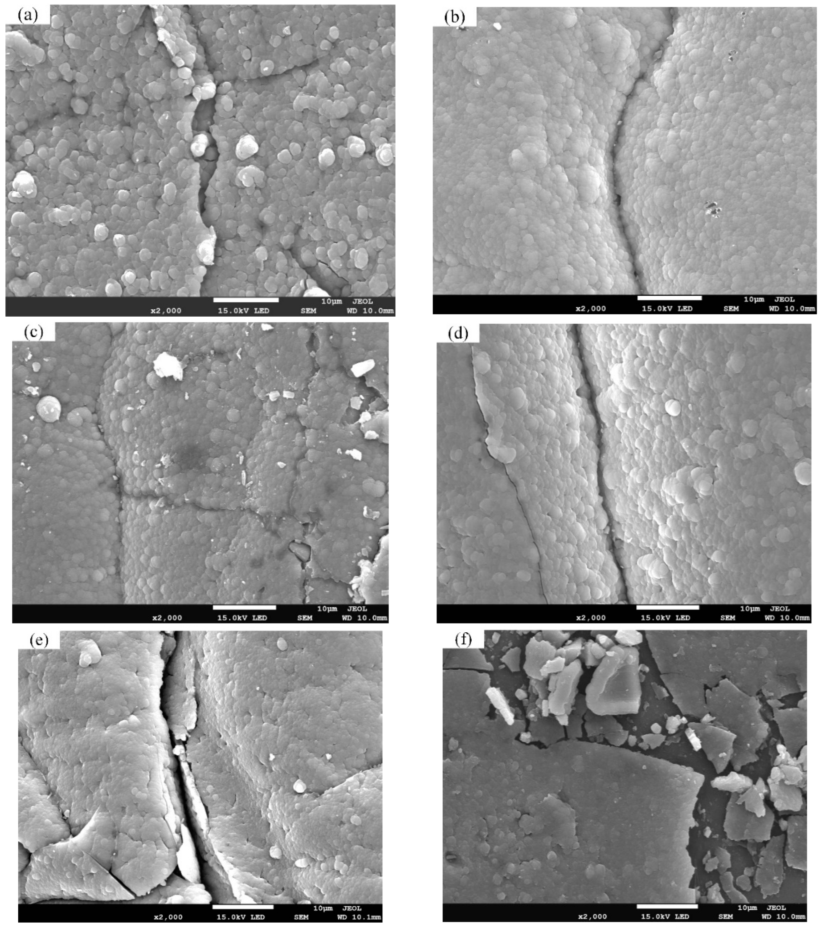Coatings 12 00937 g003