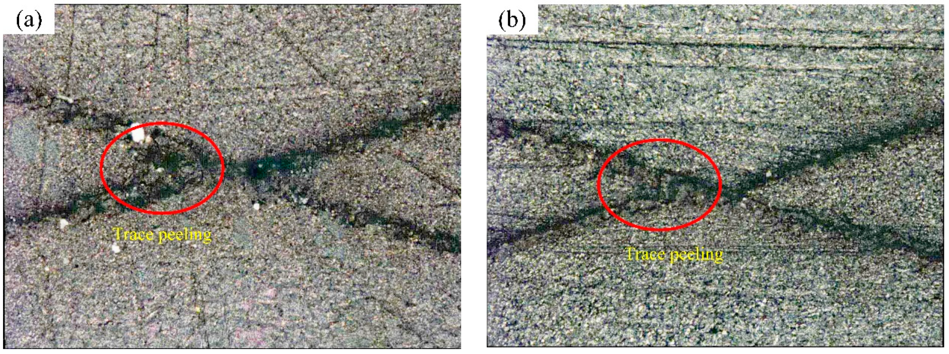 Coatings 12 00937 g007a