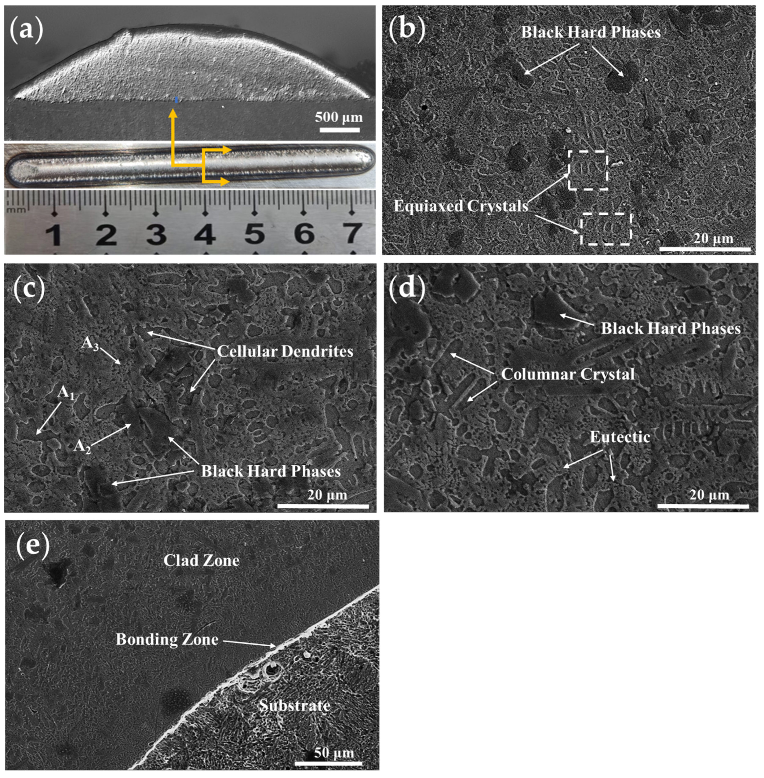 Coatings 12 00939 g013 550