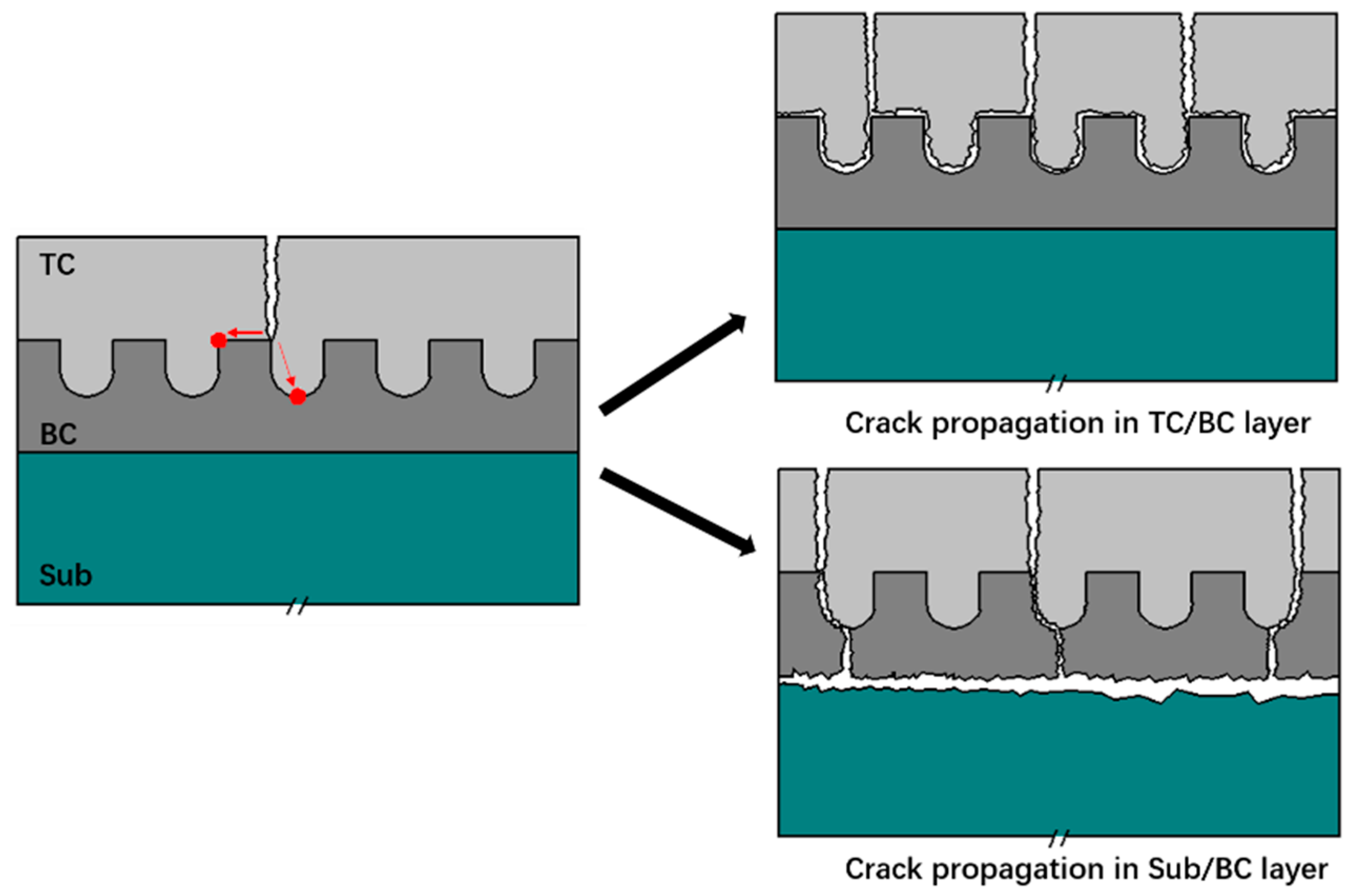 Coatings 12 00940 g009 550