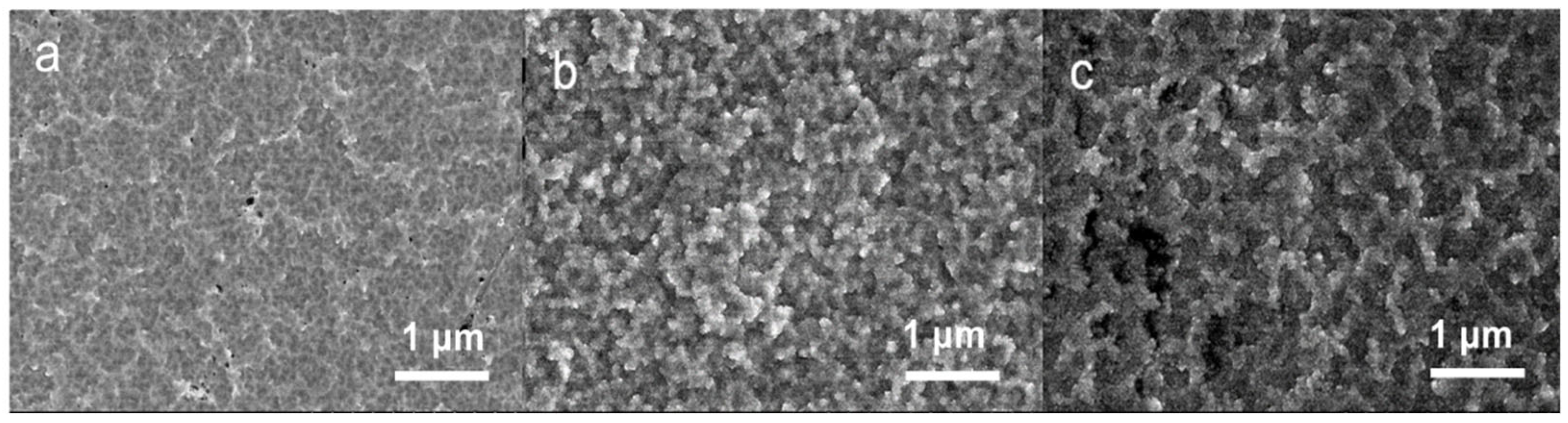 Coatings 12 00942 g003