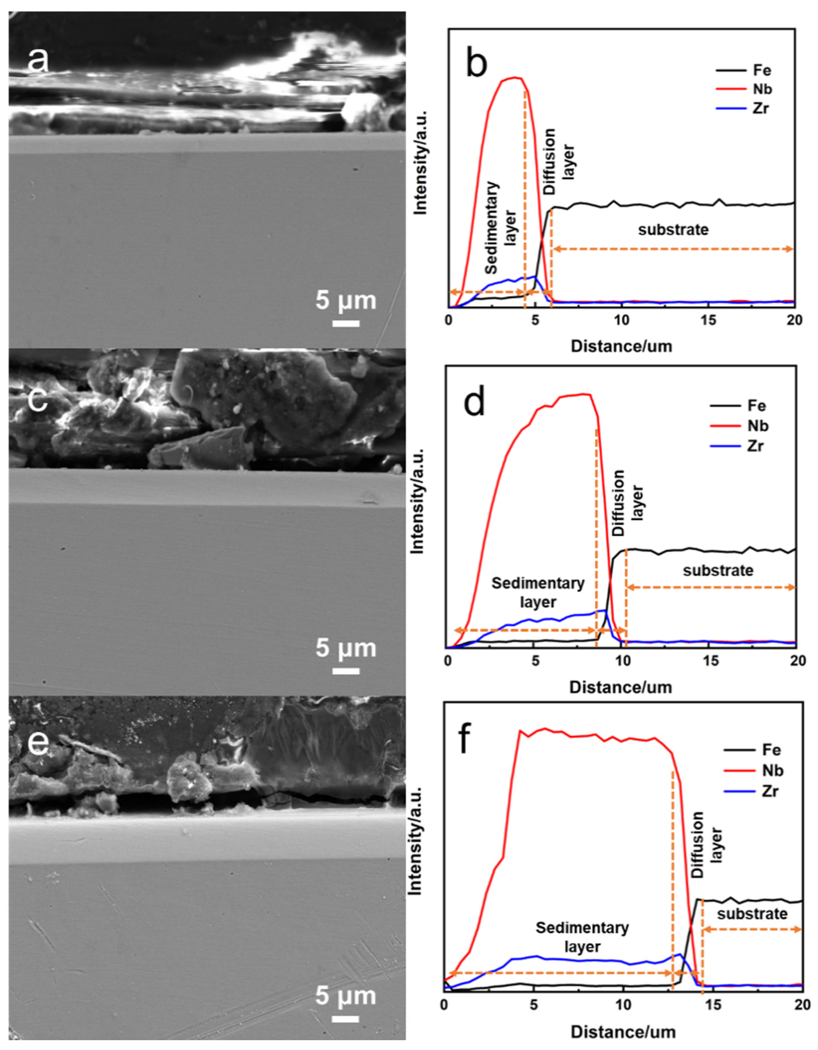 Coatings 12 00942 g005