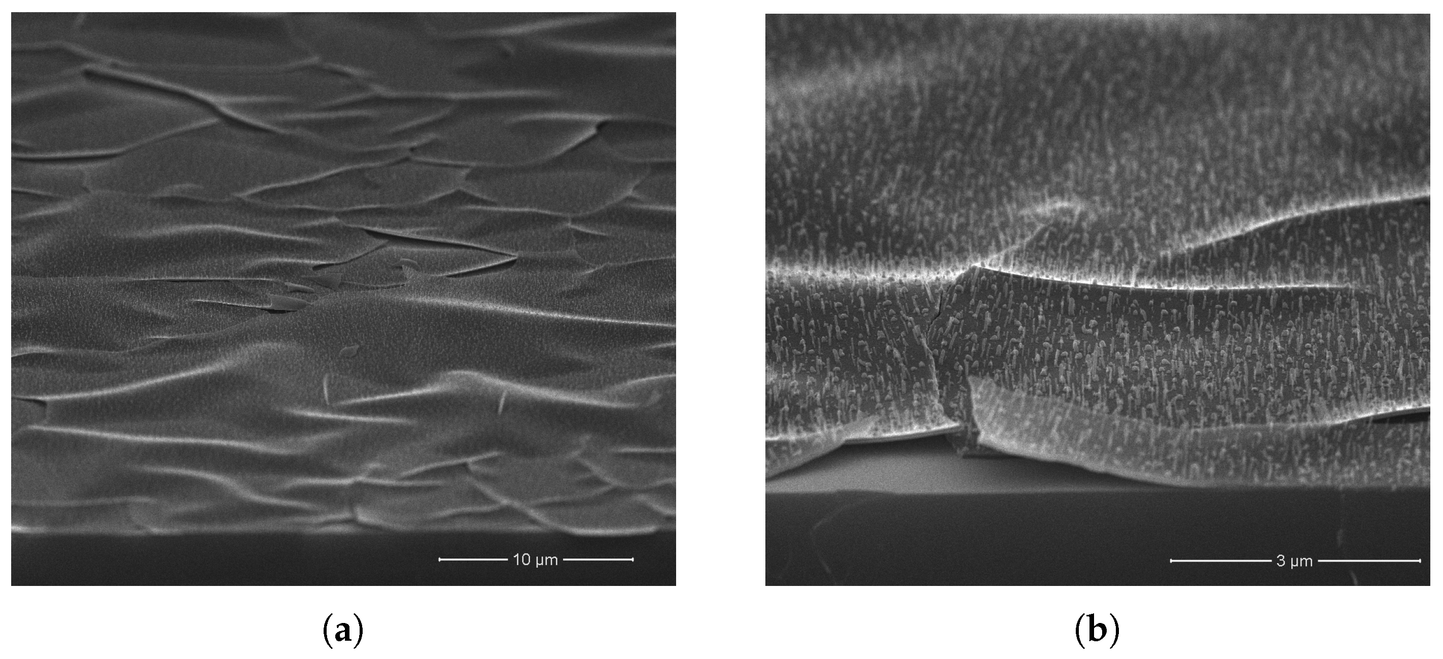 Coatings 12 00943 g001