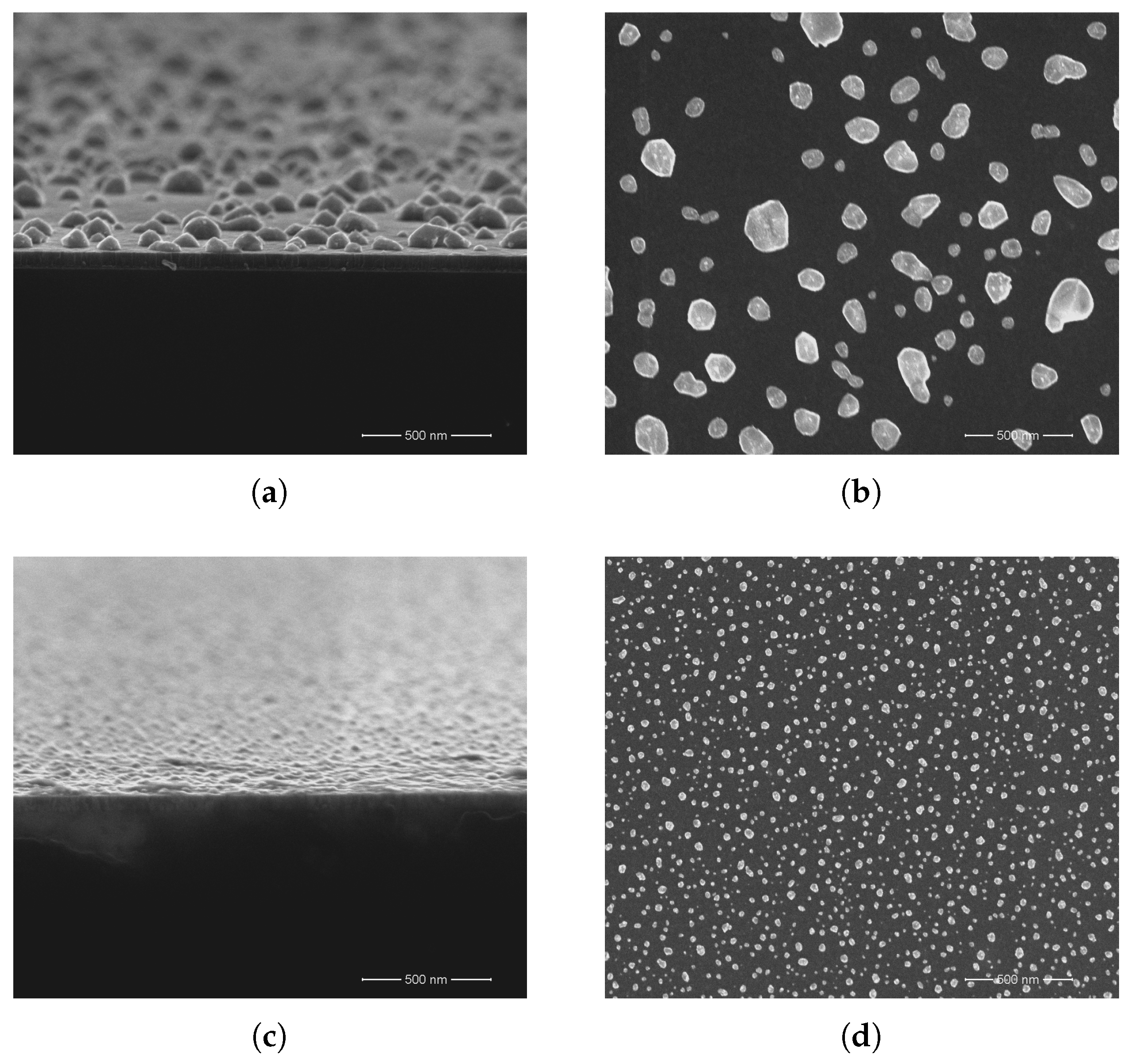 Coatings 12 00943 g004