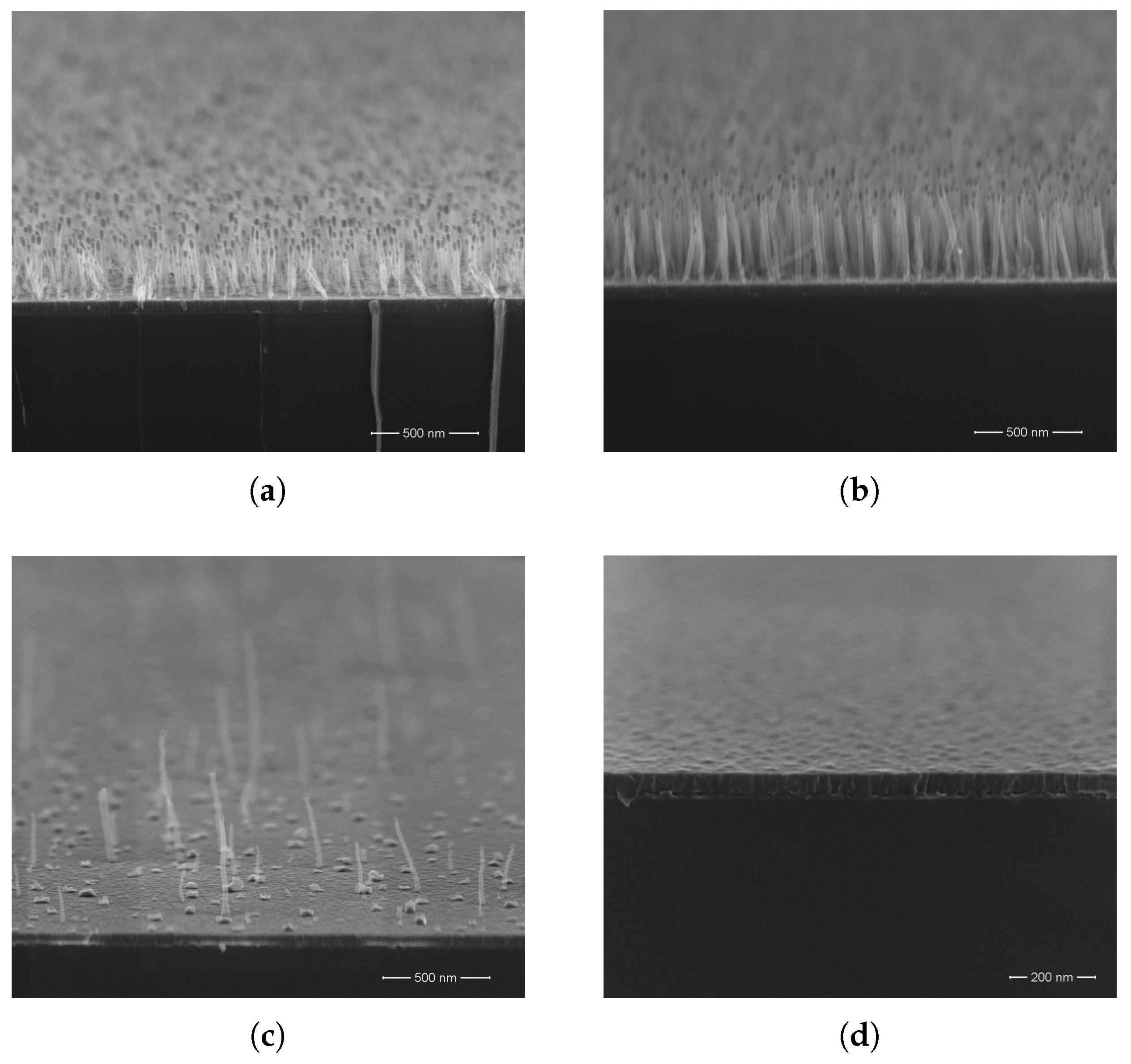 Coatings 12 00943 g006
