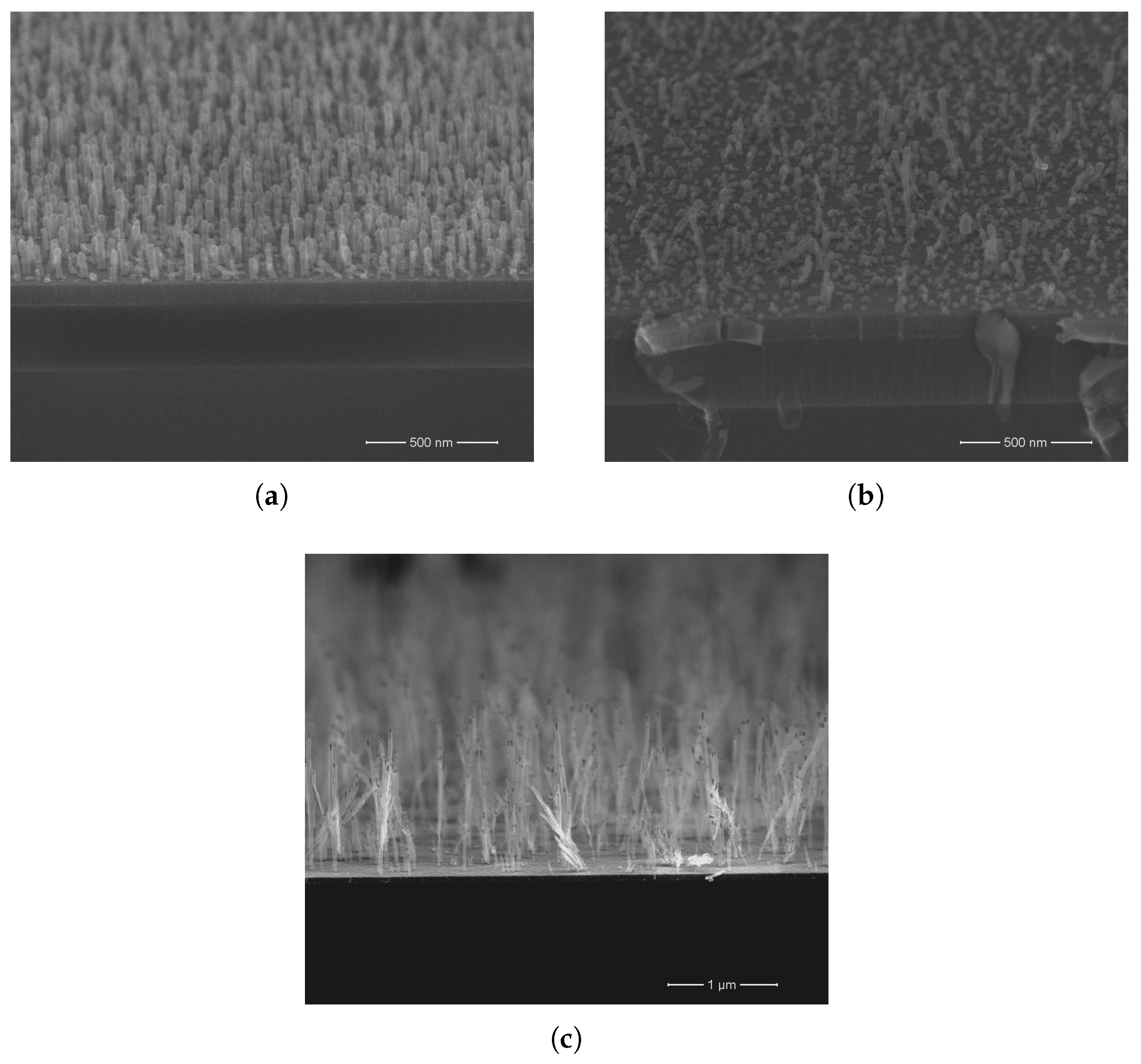 Coatings 12 00943 g008