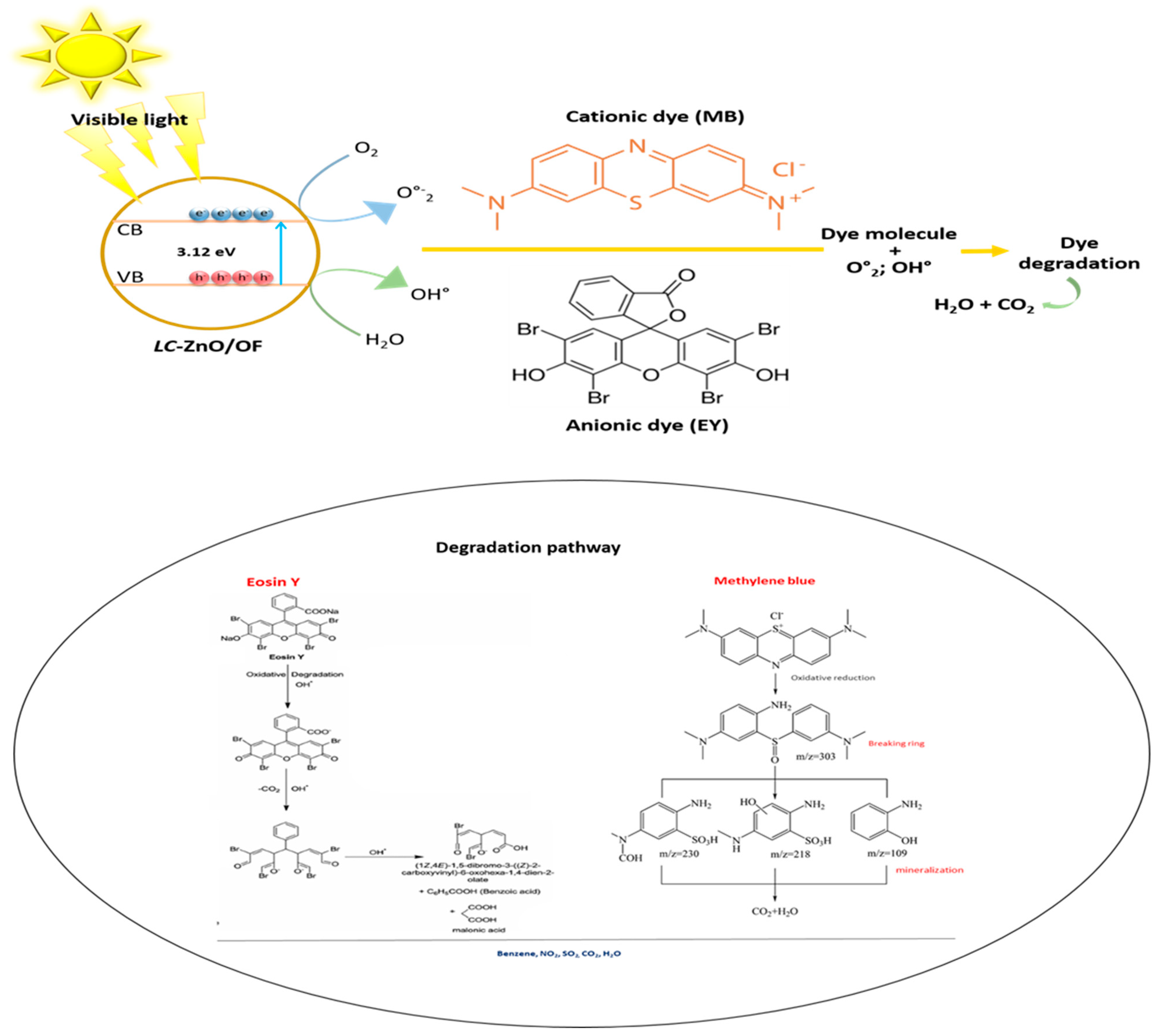 Coatings 12 00946 g008 550