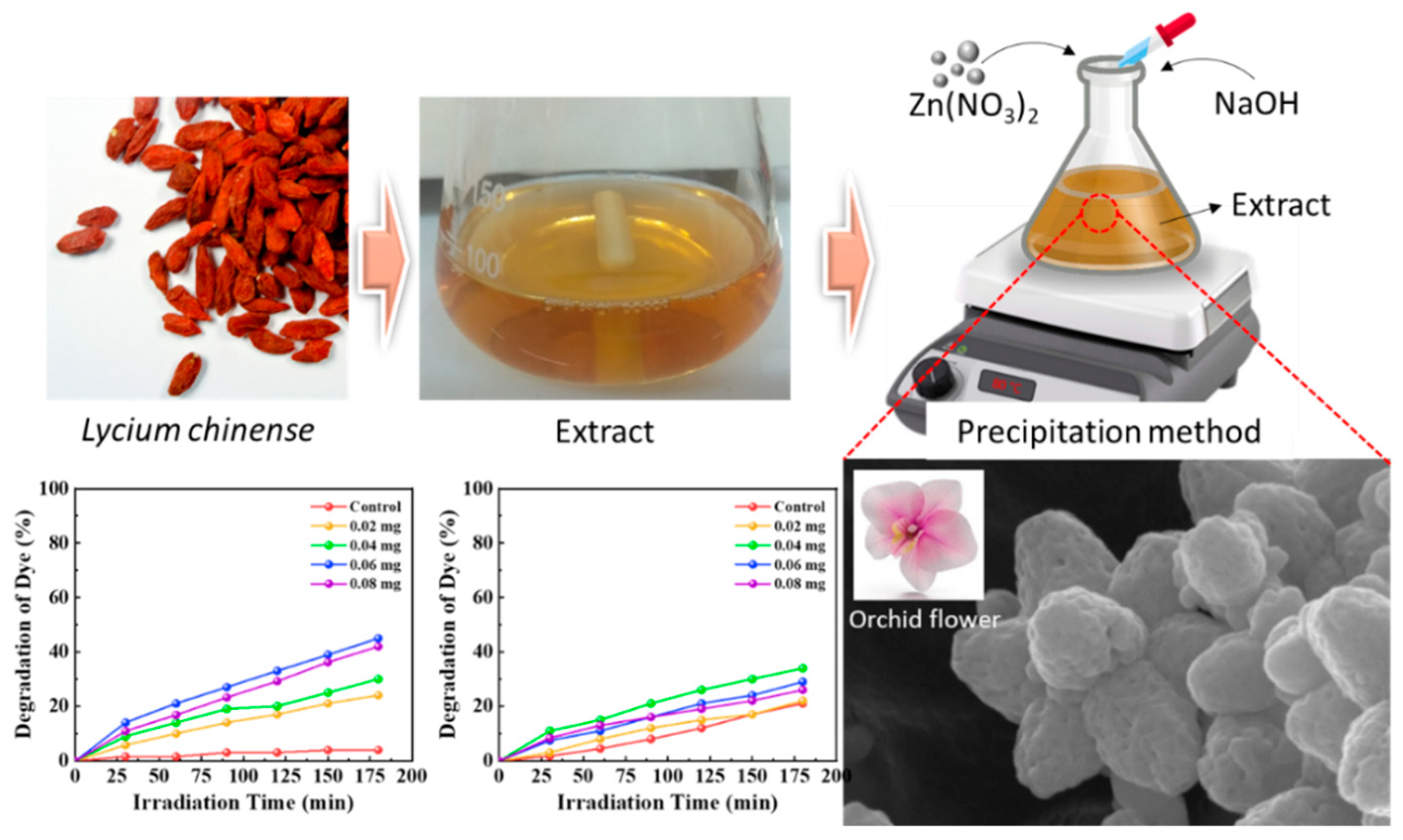 Coatings 12 00946 sch001 550