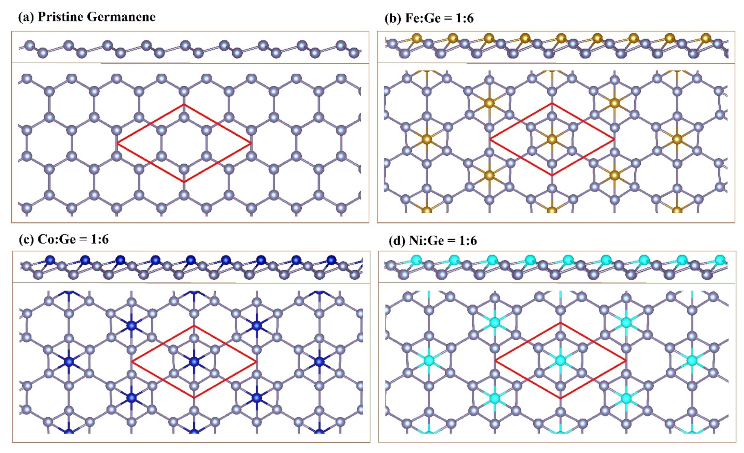 満点の Fundamental Transition-Metals-Adsorbed of Properties その他