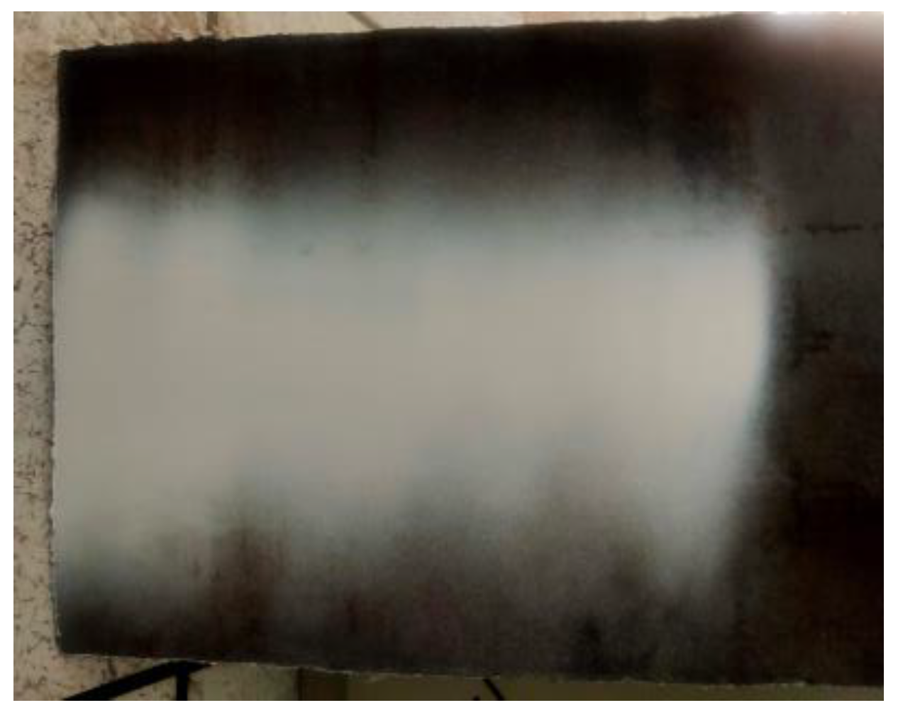 Coatings 12 00949 g019