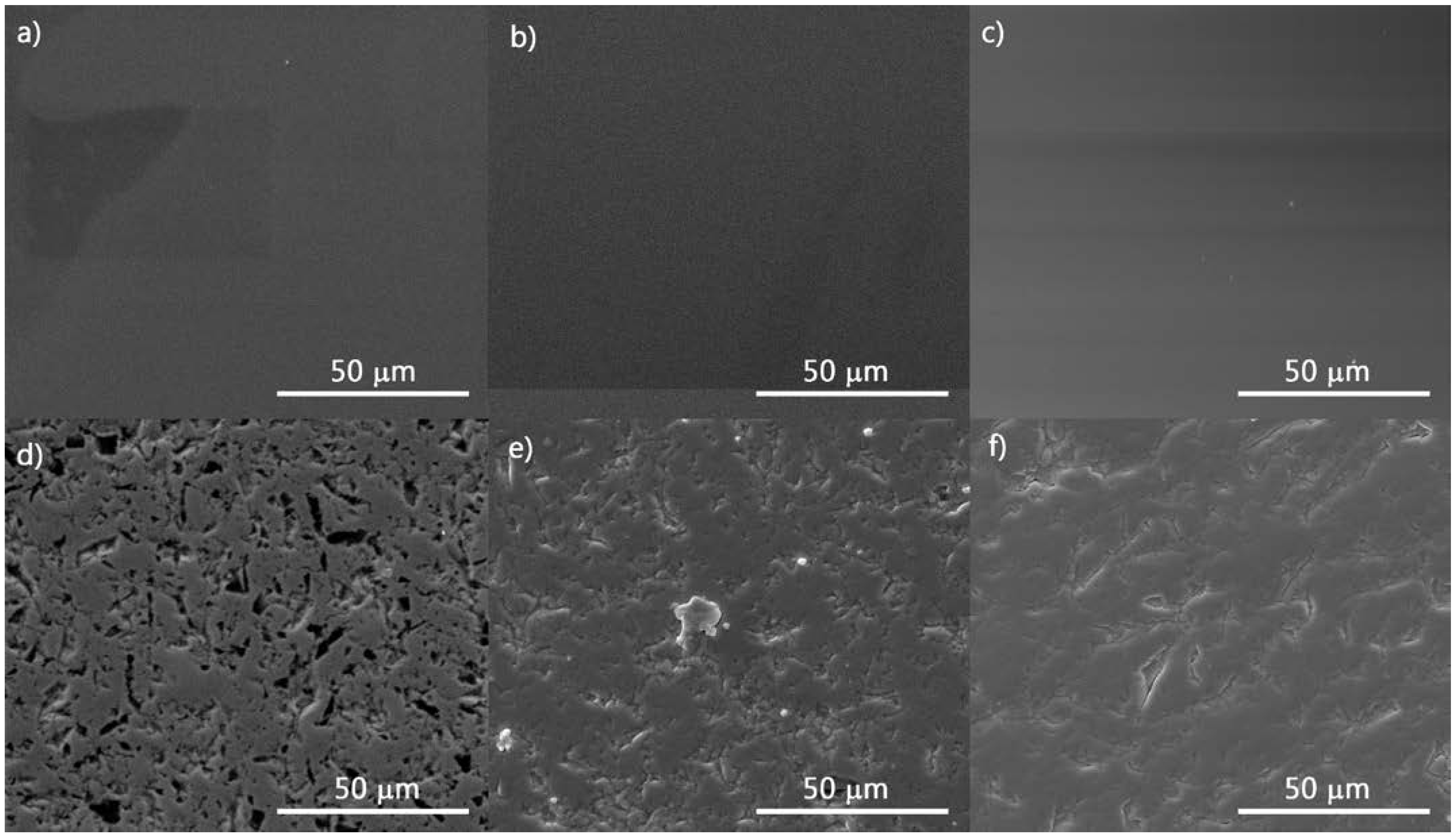 Coatings 12 00951 g002 550