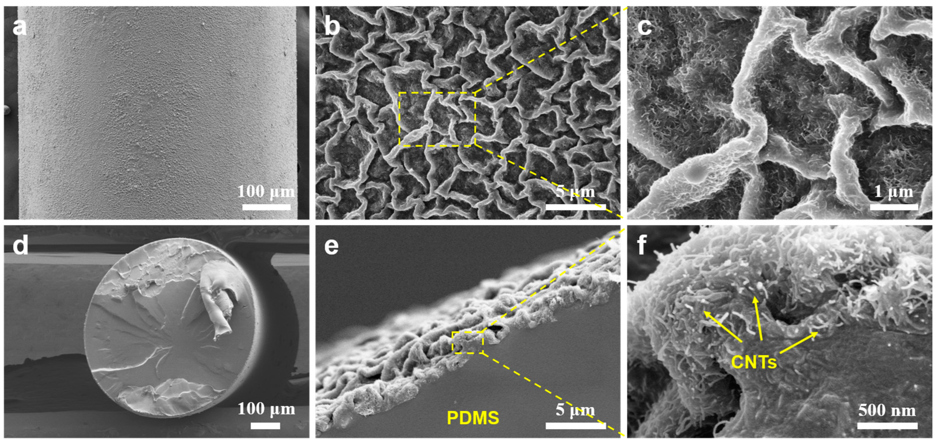 Coatings 12 00955 g002 550
