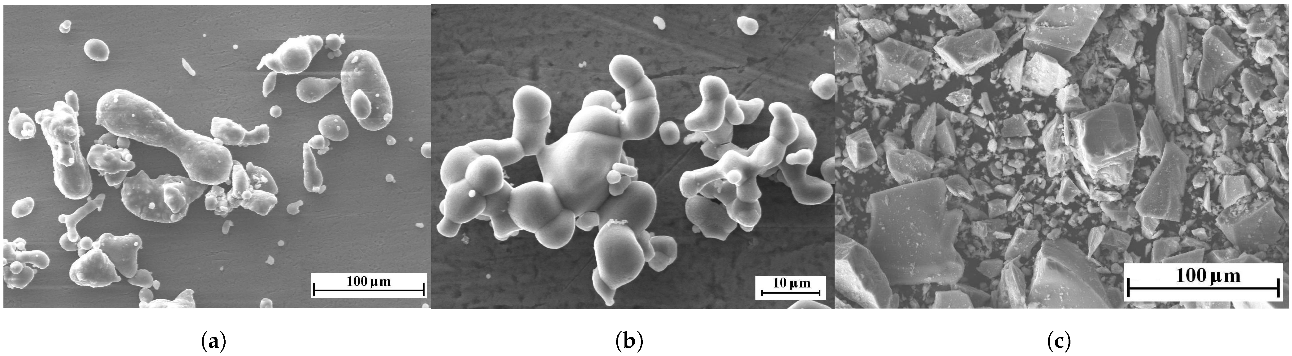 Coatings 12 00958 g001 550