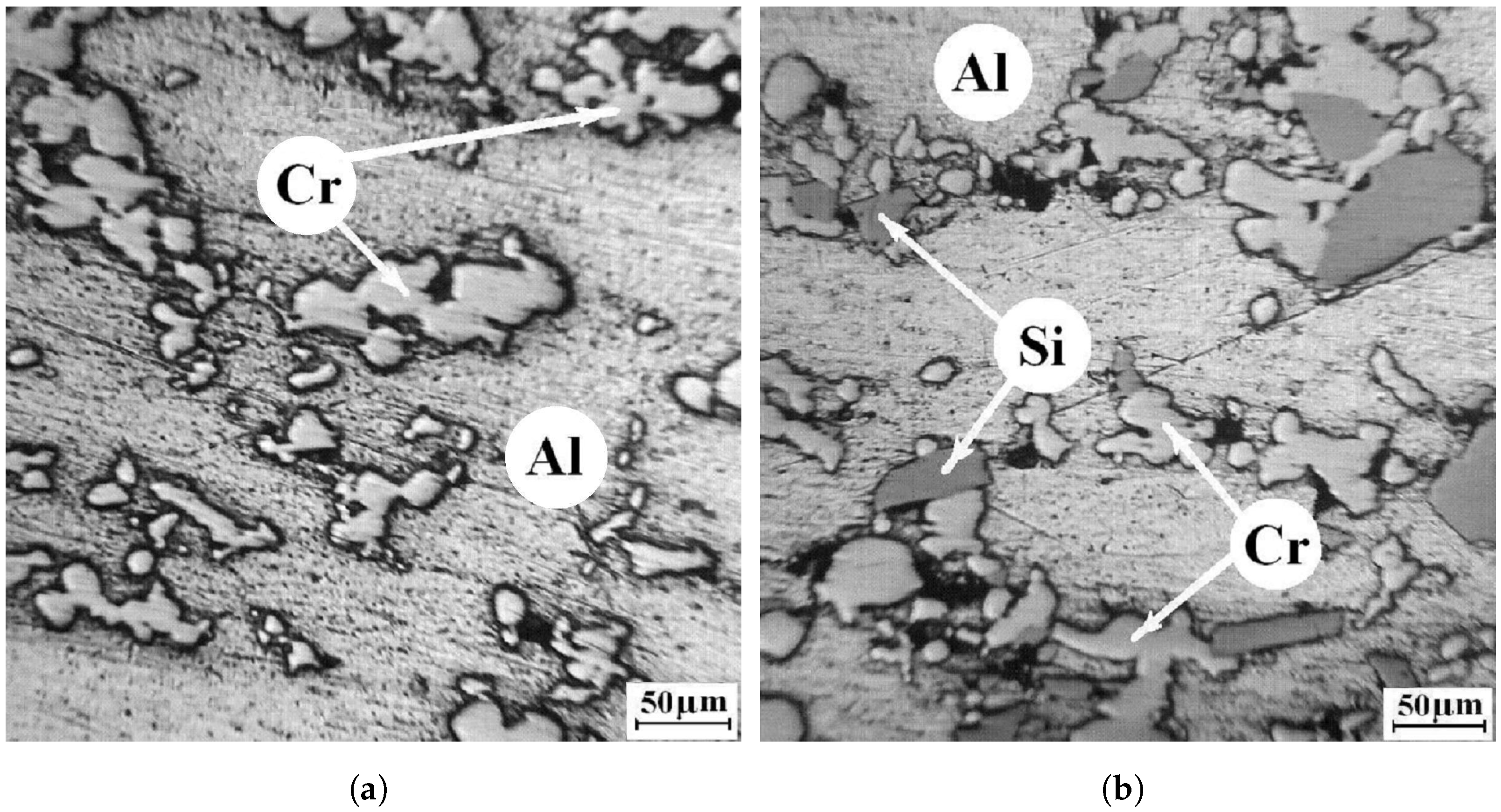Coatings 12 00958 g002 550
