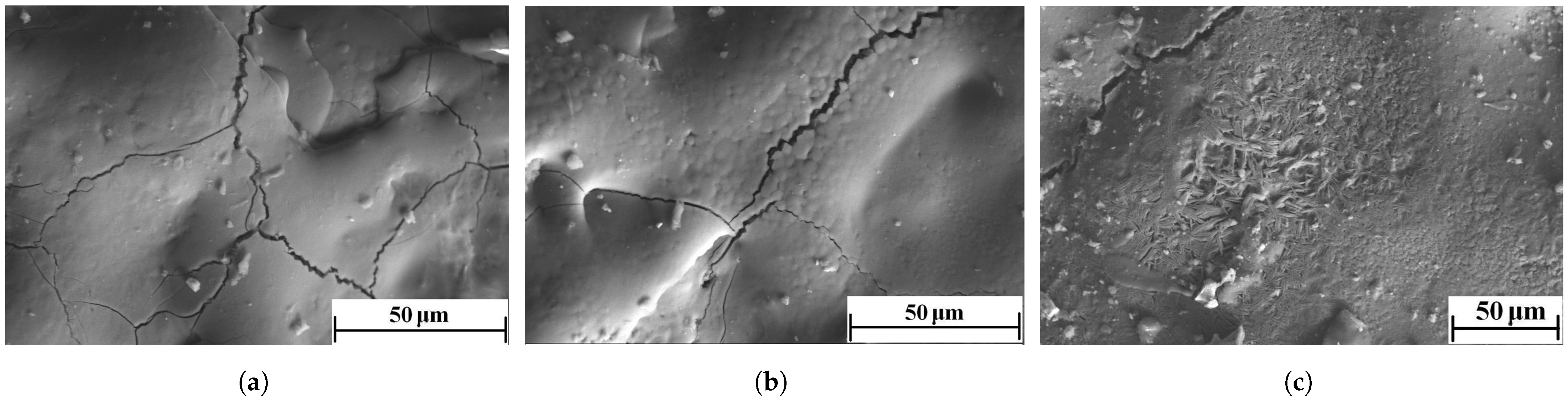 Coatings 12 00958 g003 550